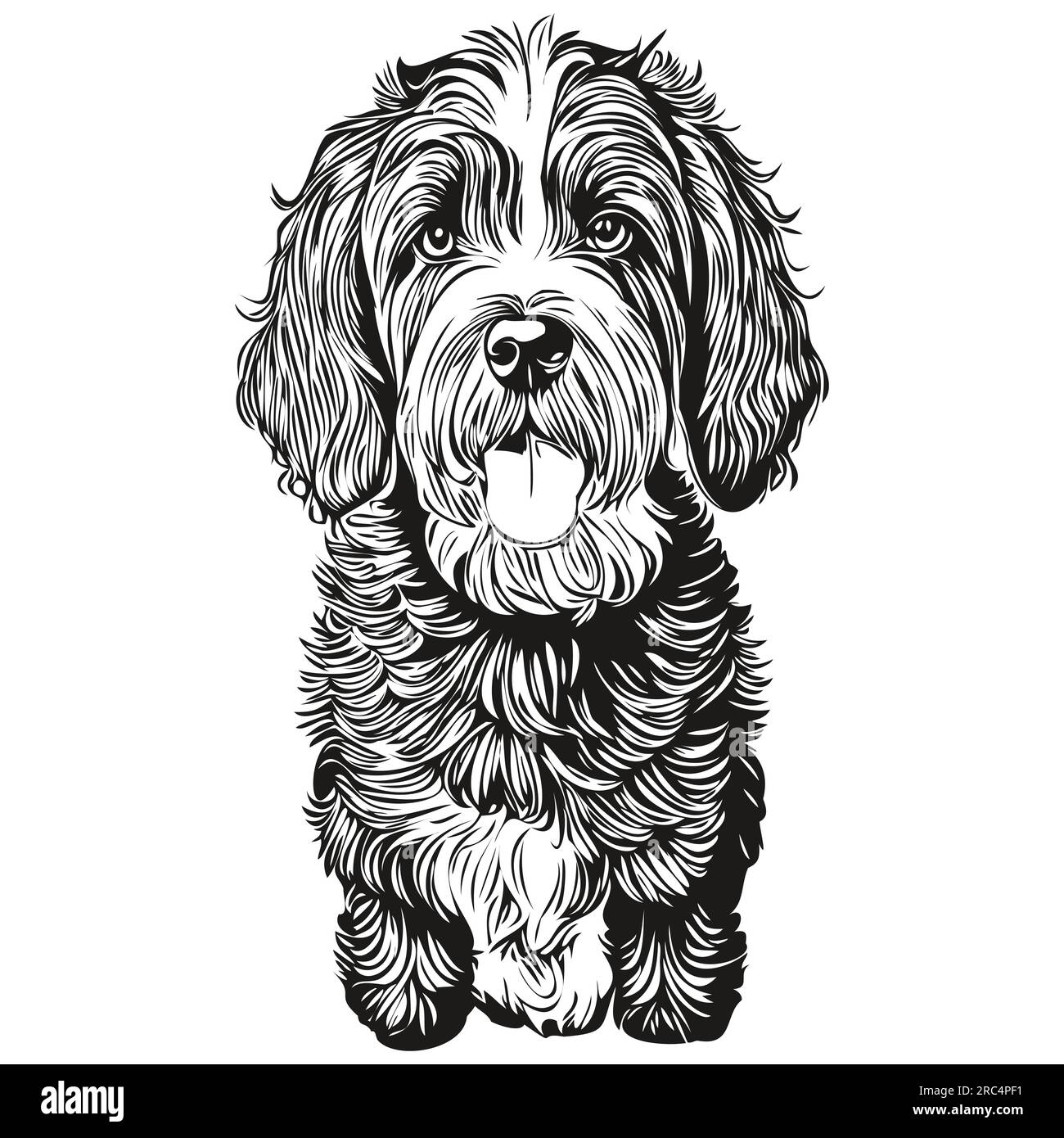 Portuguese Water dog vector face drawing portrait, sketch vintage style