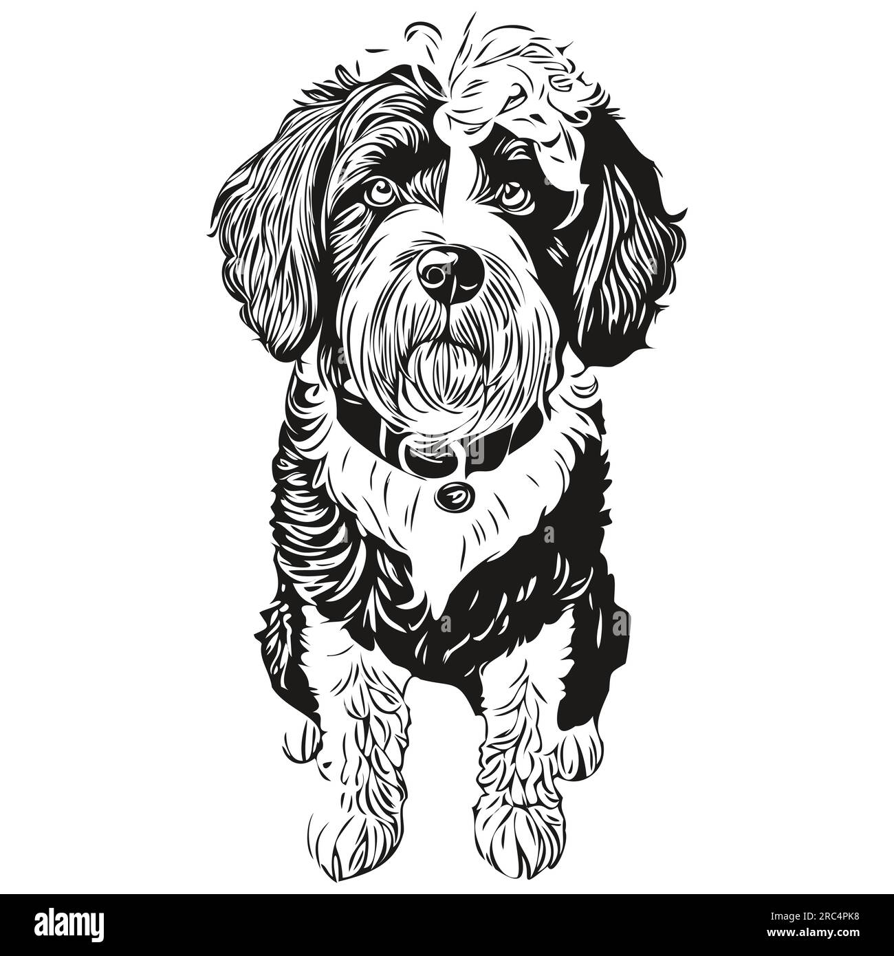Portuguese Water dog realistic pencil drawing in vector, line art