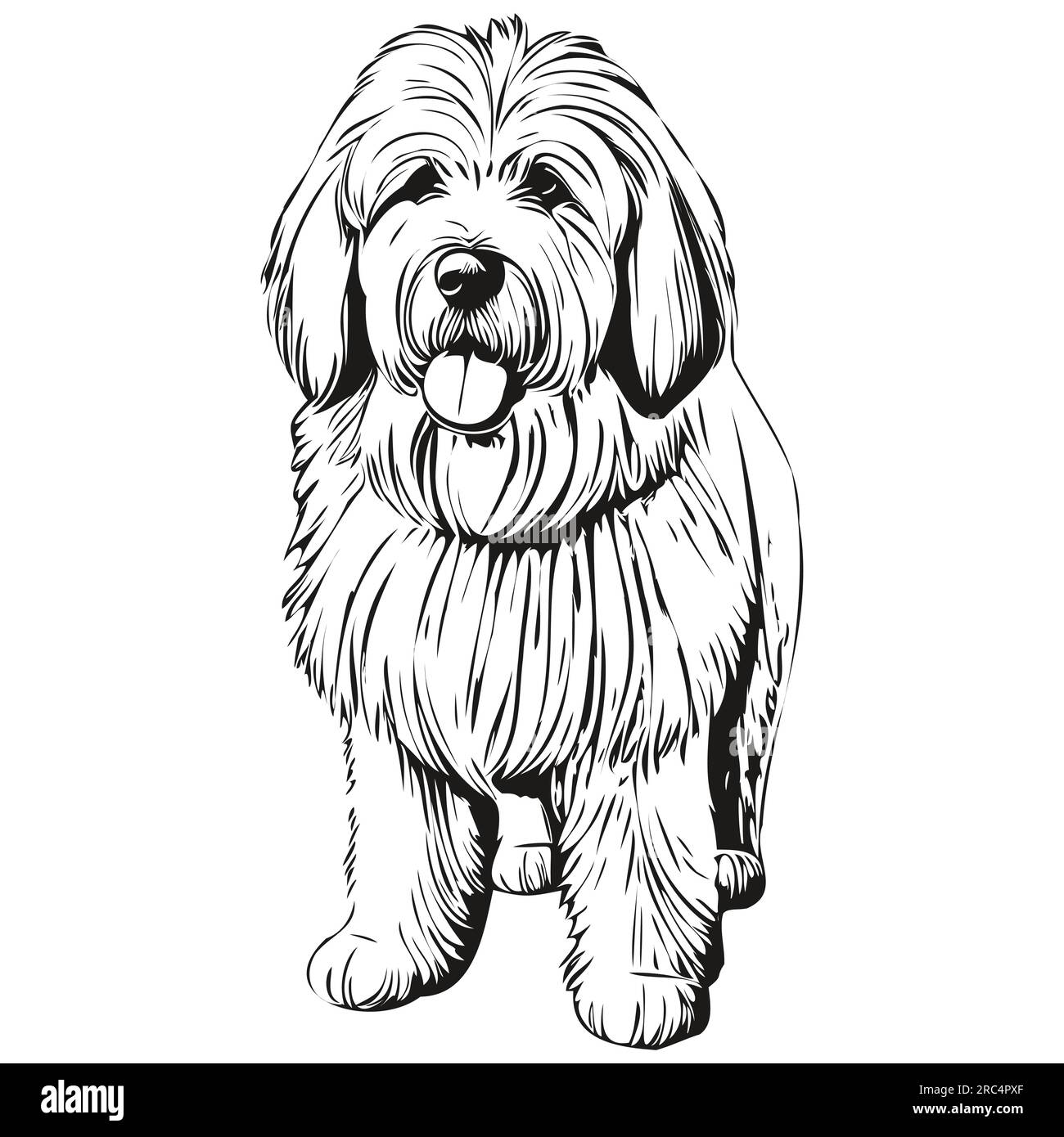 Old English Sheepdog Stock Vector Image & Art - Alamy