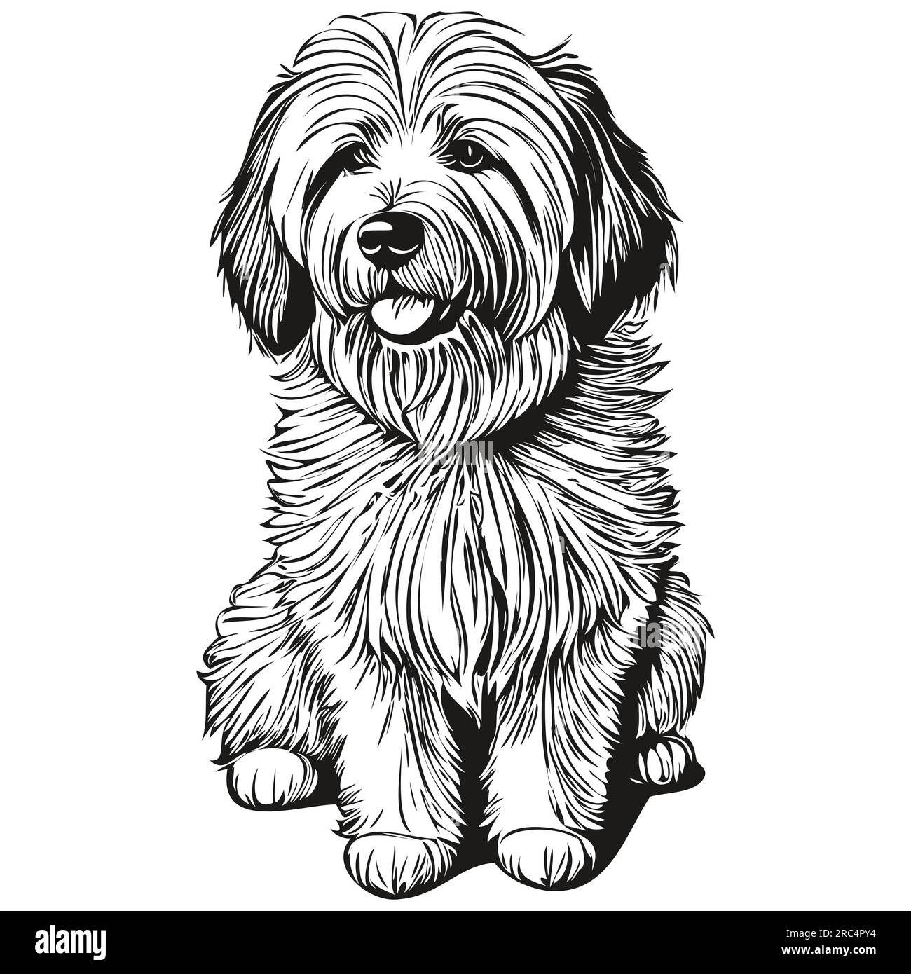 Old English Sheepdog Stock Vector Image & Art - Alamy