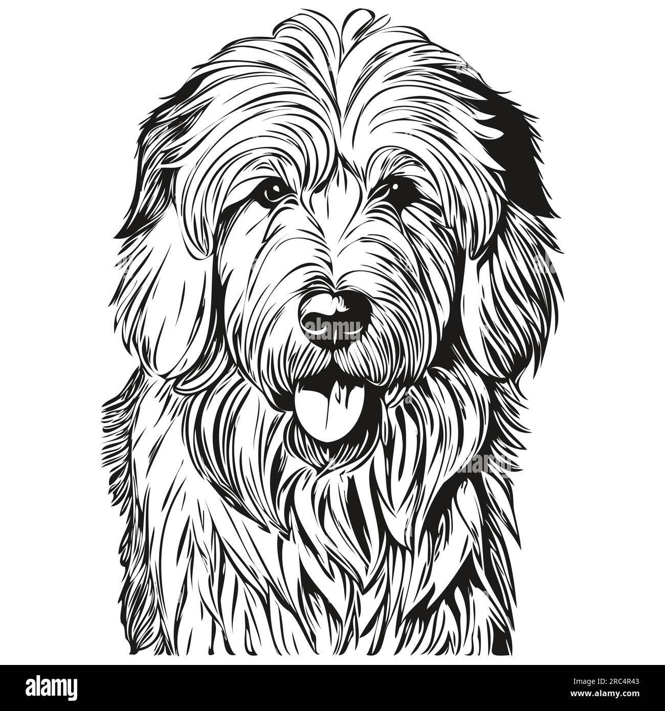 Old English Sheepdog Stock Vector Image & Art - Alamy