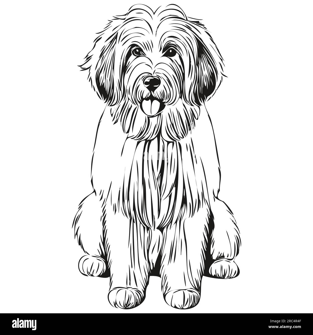 Old English Sheepdog Stock Vector Image & Art - Alamy