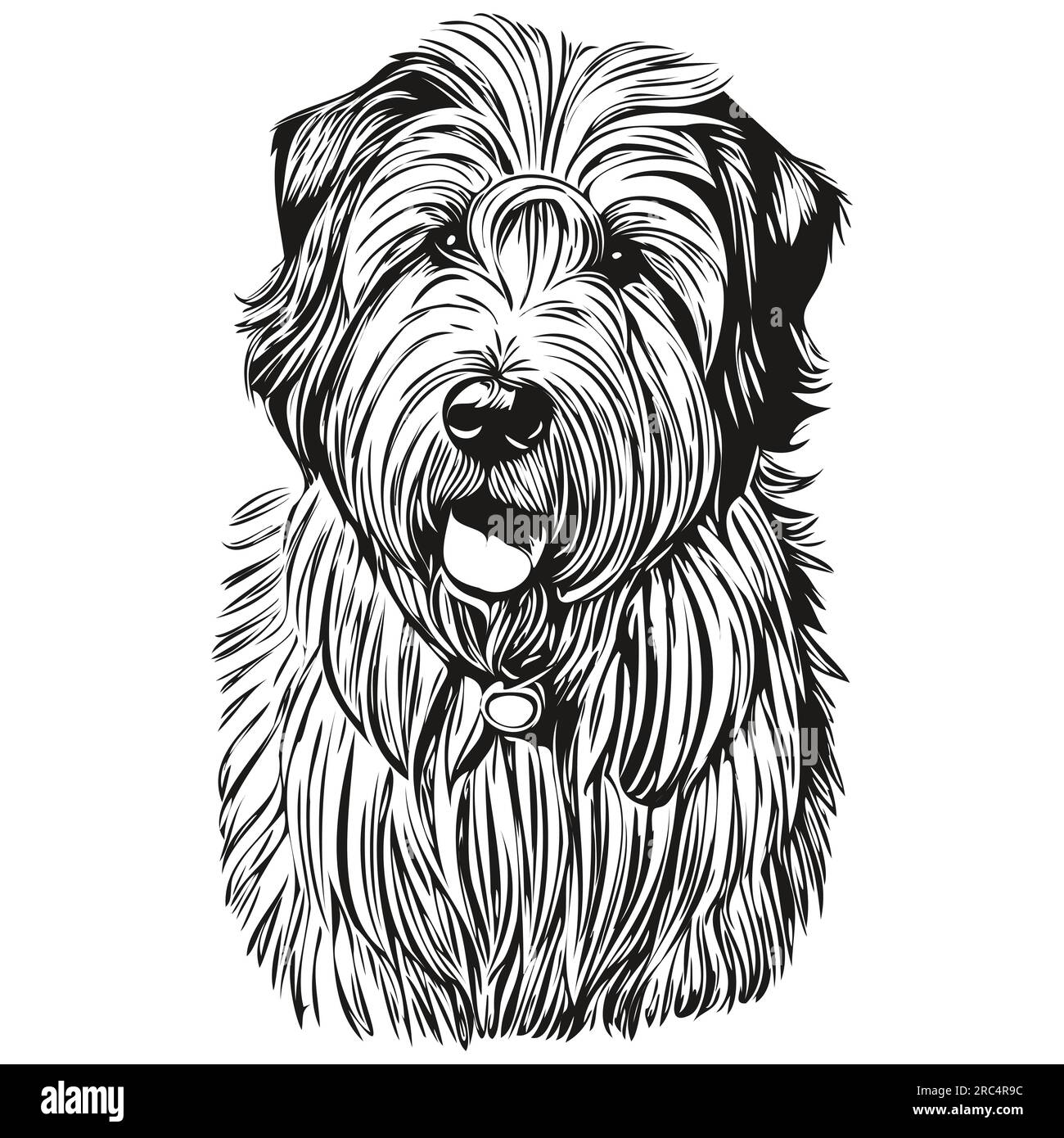 Old English Sheepdog Stock Vector Image & Art - Alamy