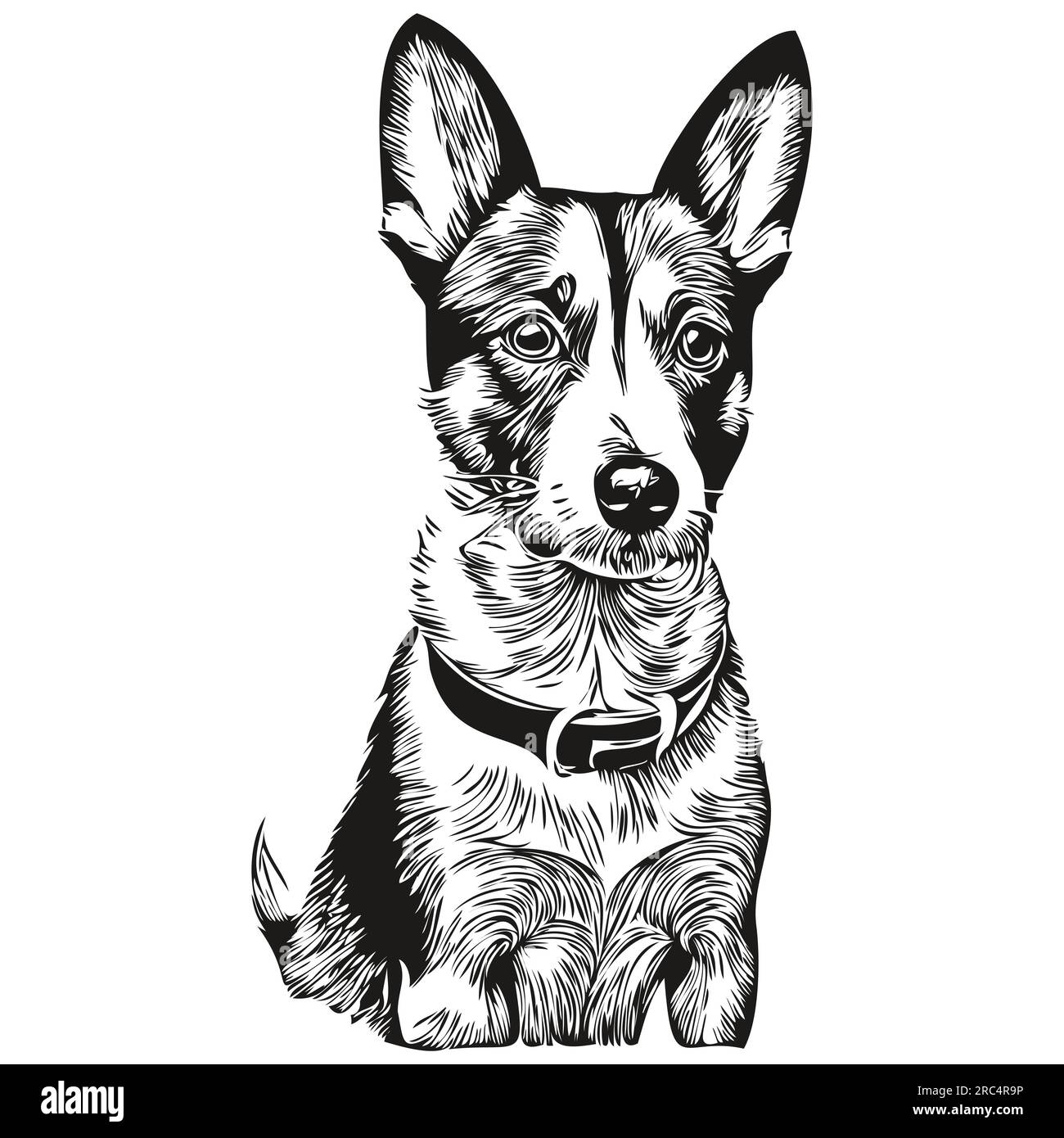 Rat Terrier dog vector graphics, hand drawn pencil animal line