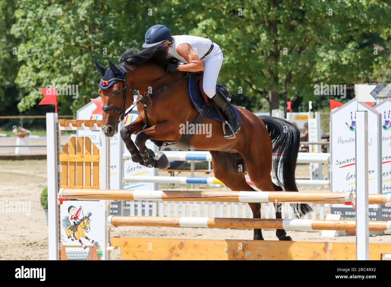 show jumping competition in germany Stock Photo Alamy