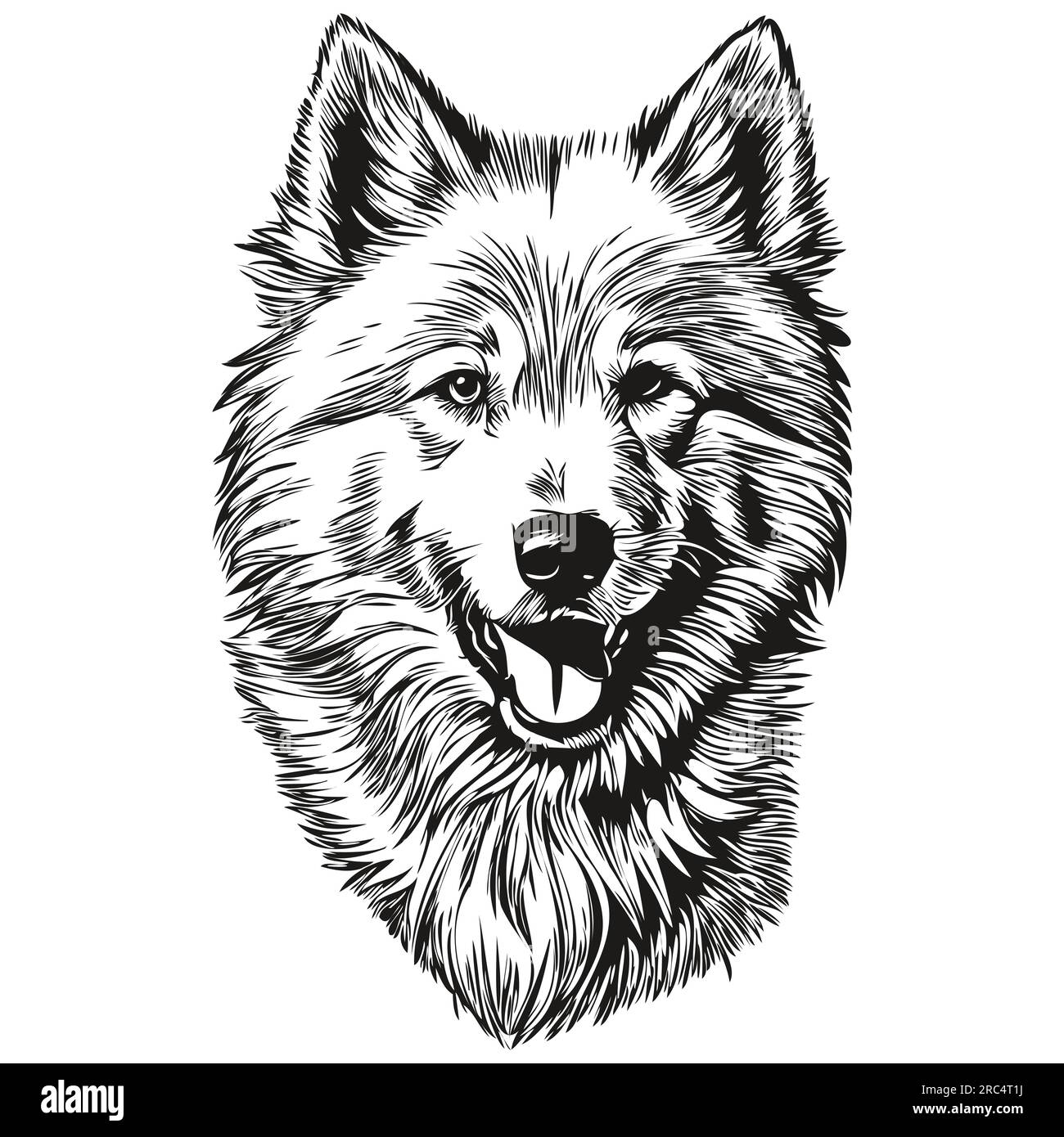 White samoyed vintage hi-res stock photography and images - Alamy