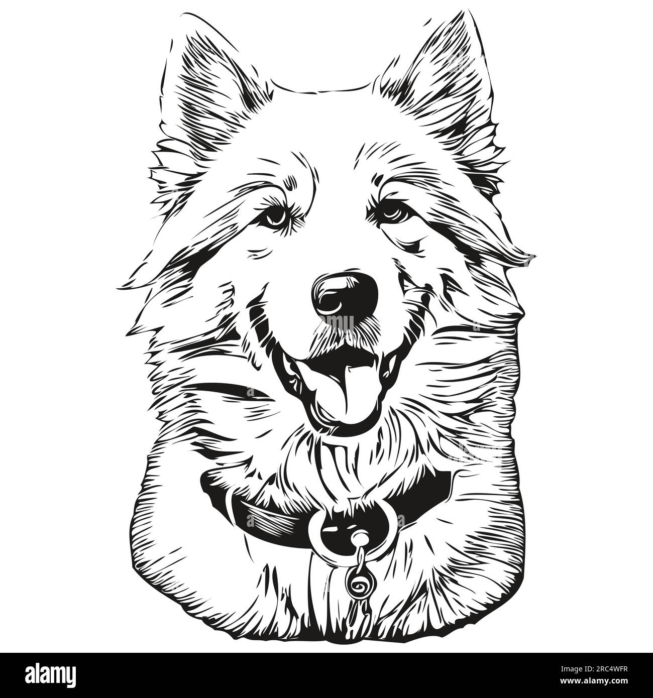 Samoyed dog line illustration, black and white ink sketch face portrait ...