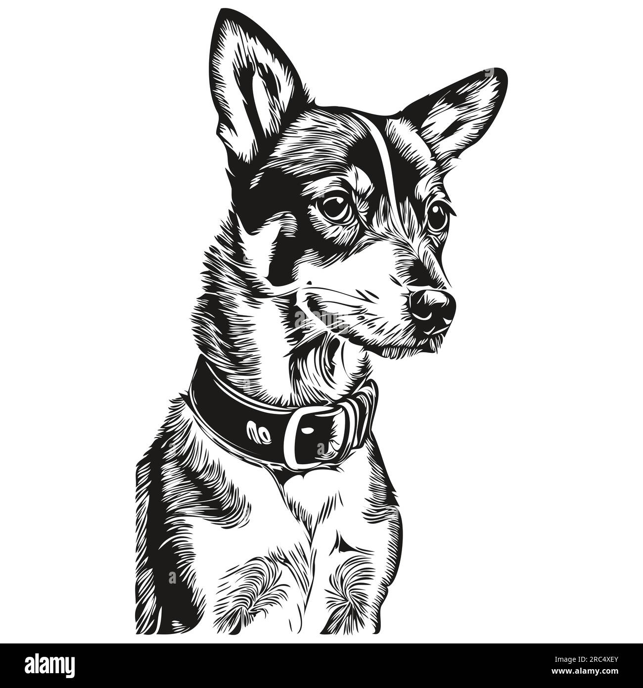 Rat Terrier dog black drawing vector, isolated face painting sketch ...