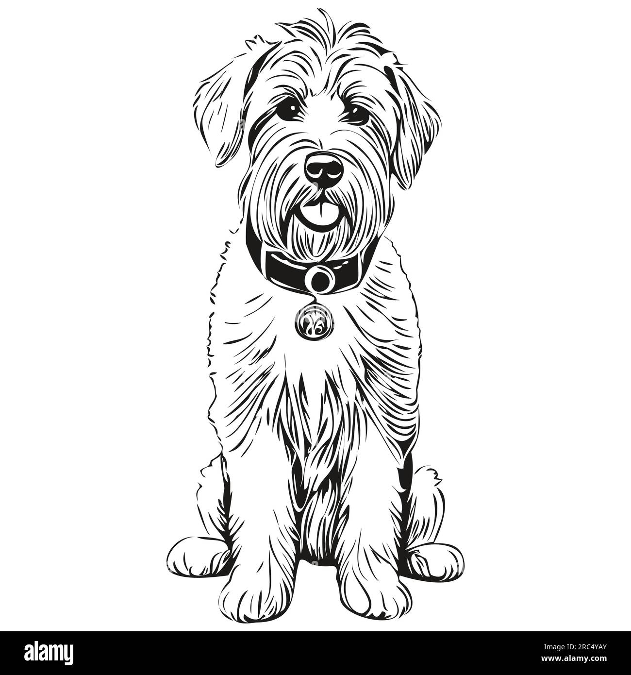 Black wheaten cheap terrier