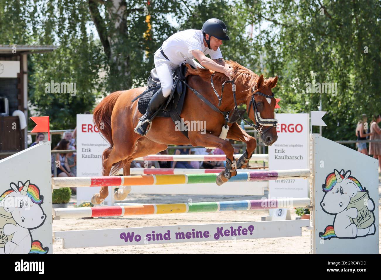 show jumping competition in germany Stock Photo Alamy