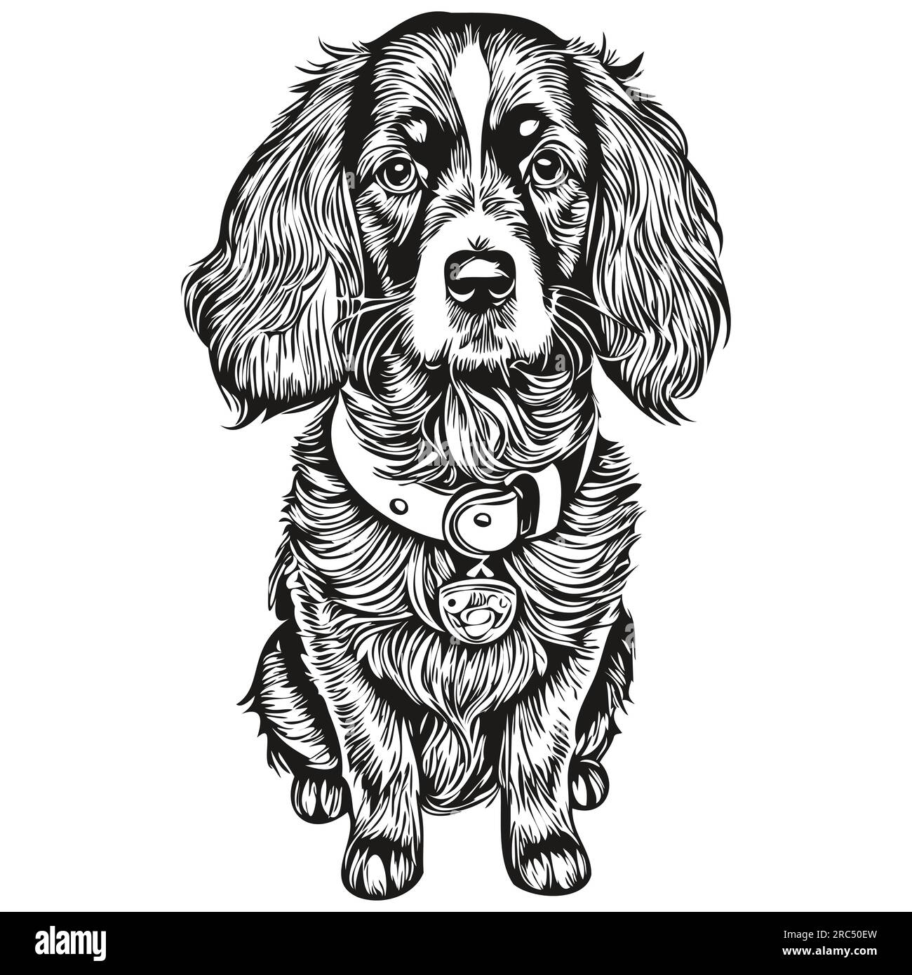 Spaniel Boykin dog face vector portrait, funny outline pet illustration white background sketch