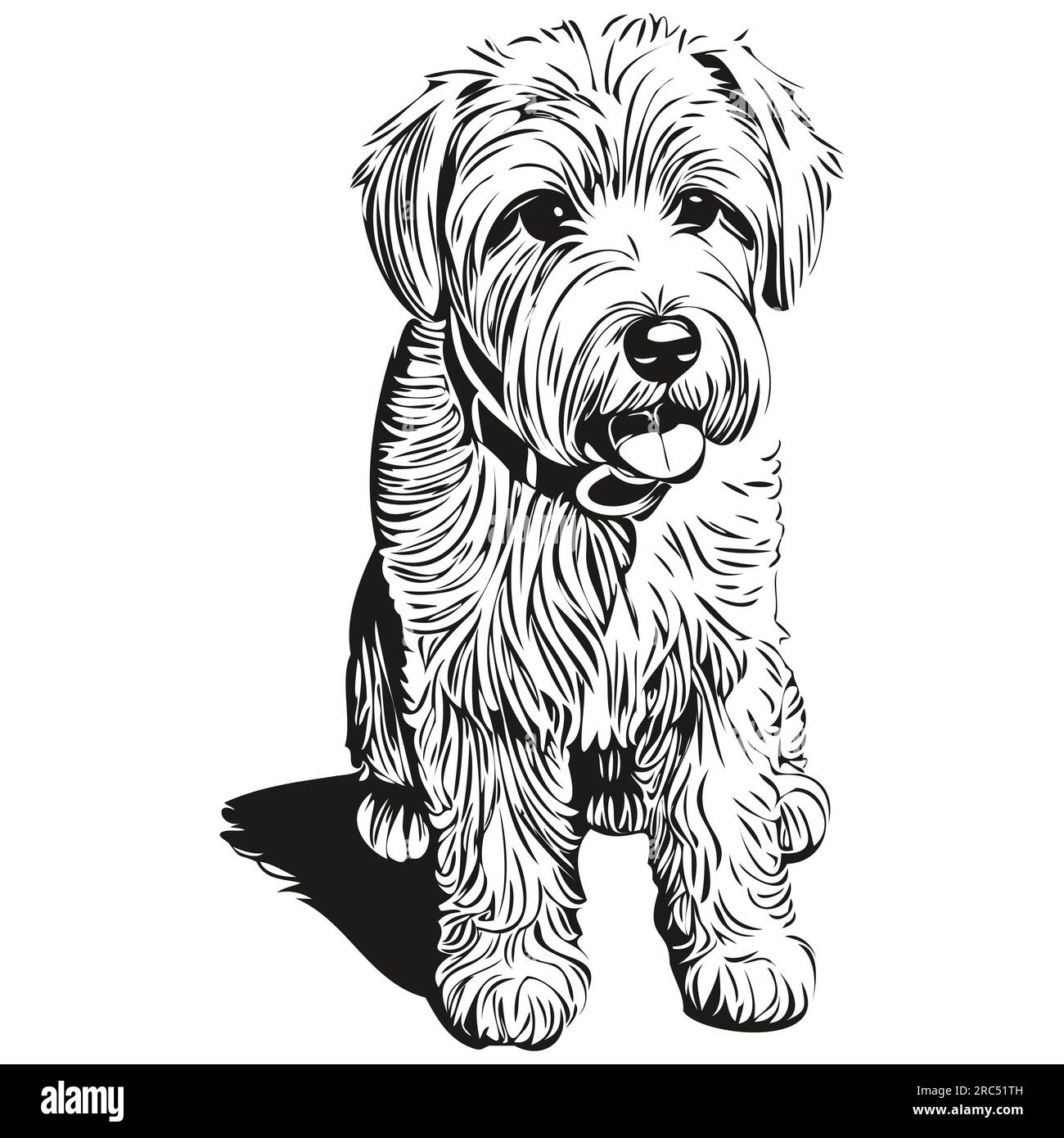 Wheaten Terrier Line Drawing Hi res Stock Photography And Images Alamy wheaten-terrier-line-drawing-hi-res-stock-photography-and-images-alamy