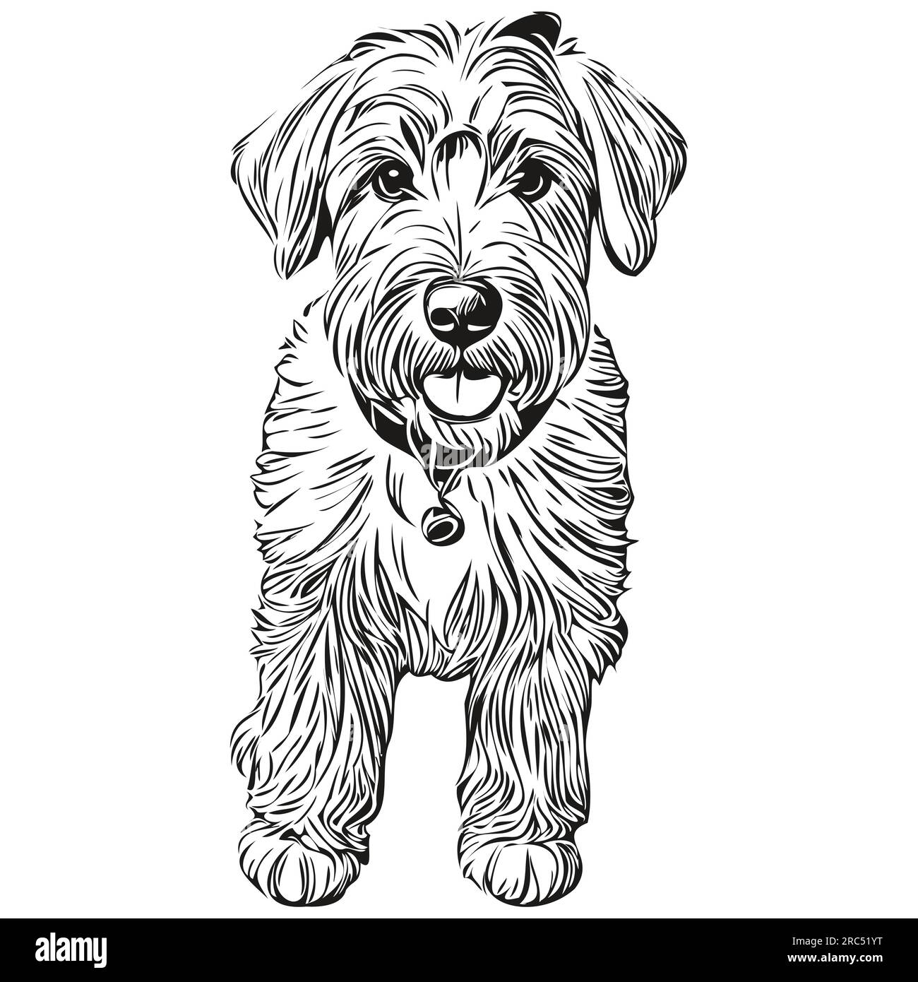 wheaten-terrier-line-drawing-hi-res-stock-photography-and-images-alamy