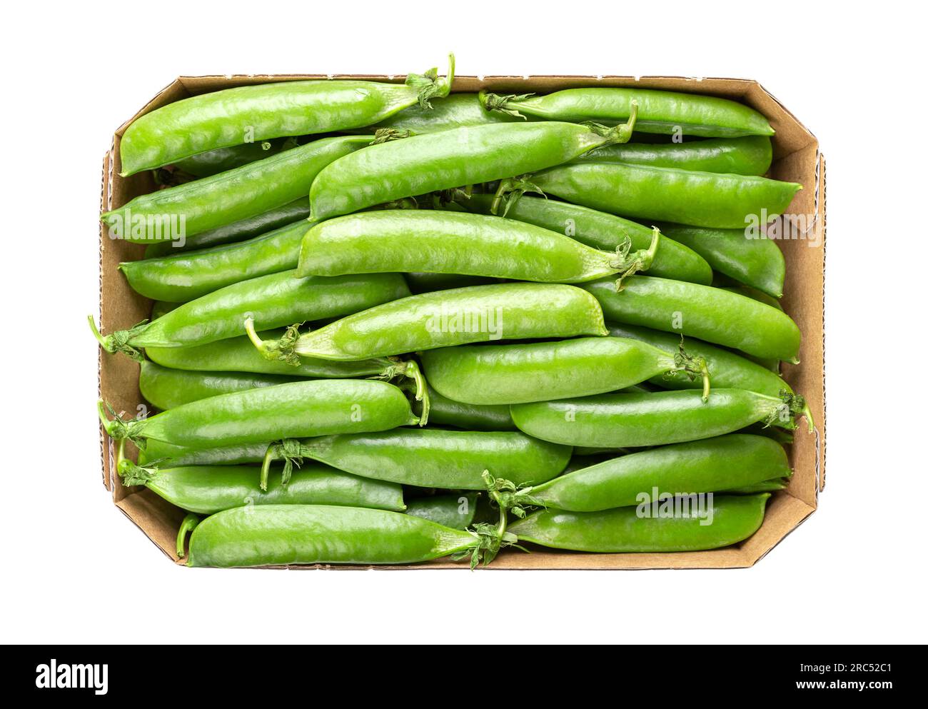 Cardboard punnet with fresh pea pods, containing green peas, the fruits and seeds of the plant Pisum sativum. Used fresh, frozen, dried or canned. Stock Photo