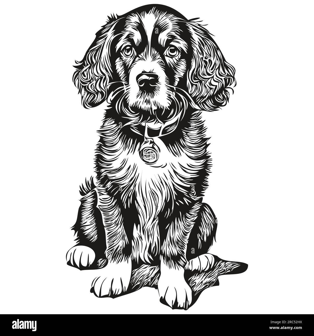 Spaniel English Cocker dog face vector portrait, funny outline pet illustration white background