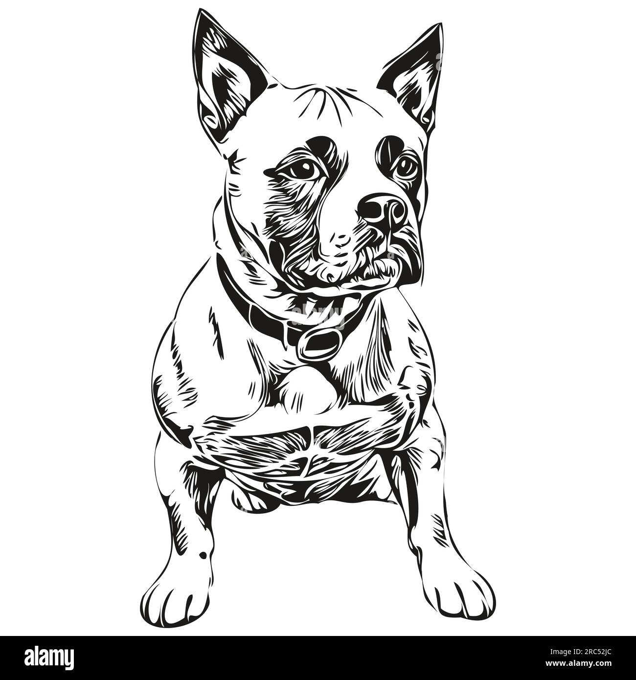 Staffordshire Bull Terrier dog black drawing vector, isolated face