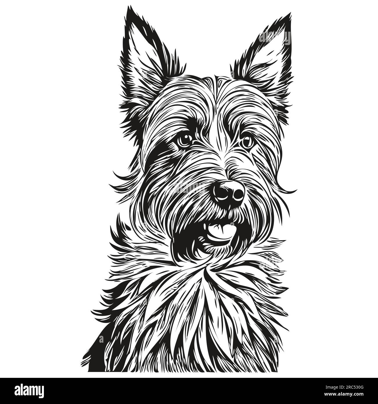 Scottish Terrier dog engraved vector portrait, face cartoon vintage