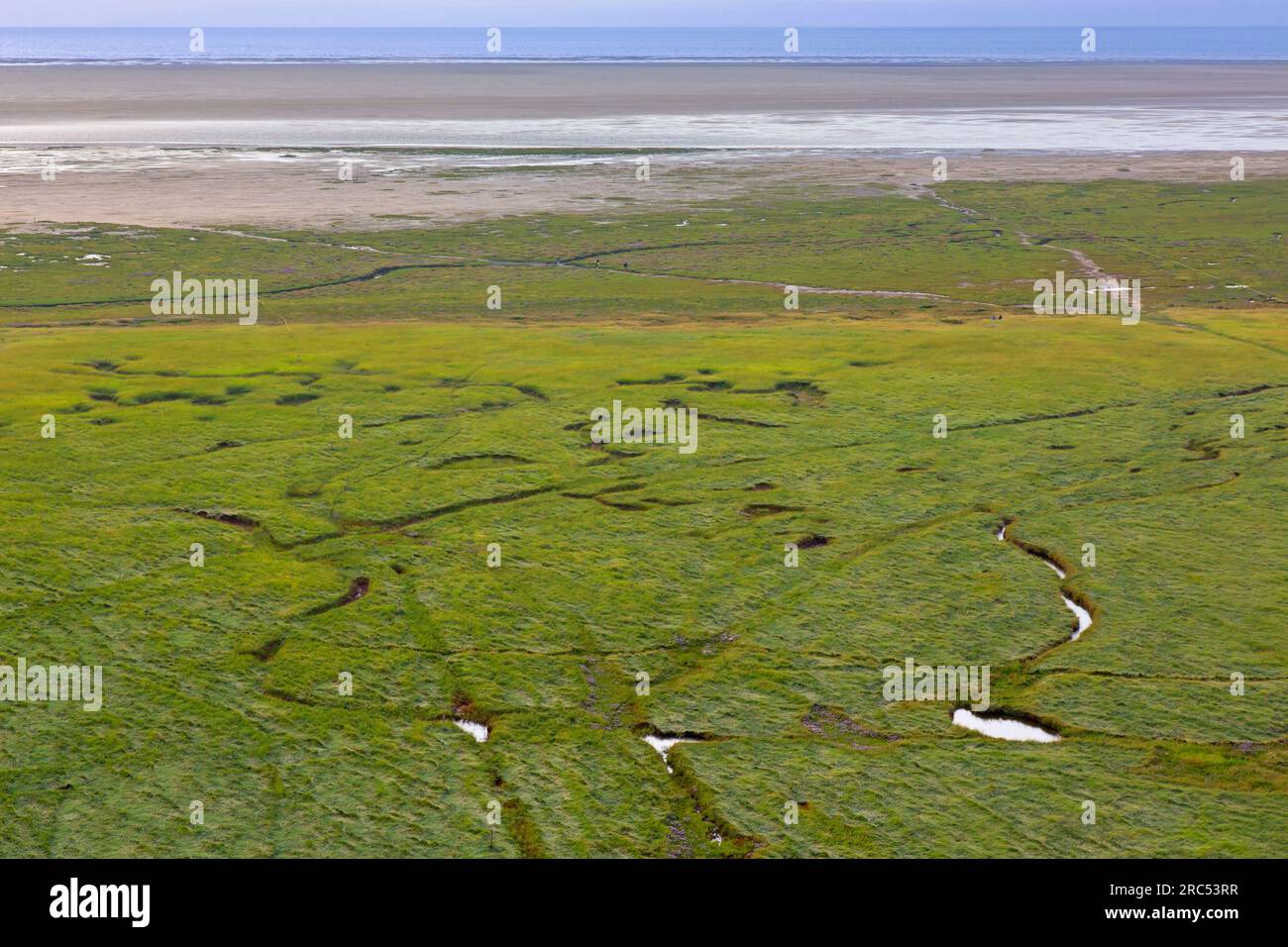 Aerial view over salt marsh / saltmarsh and mudflat in summer, Wadden Sea National park, North Frisia / Nordfriesland, Schleswig-Holstein, Germany Stock Photo