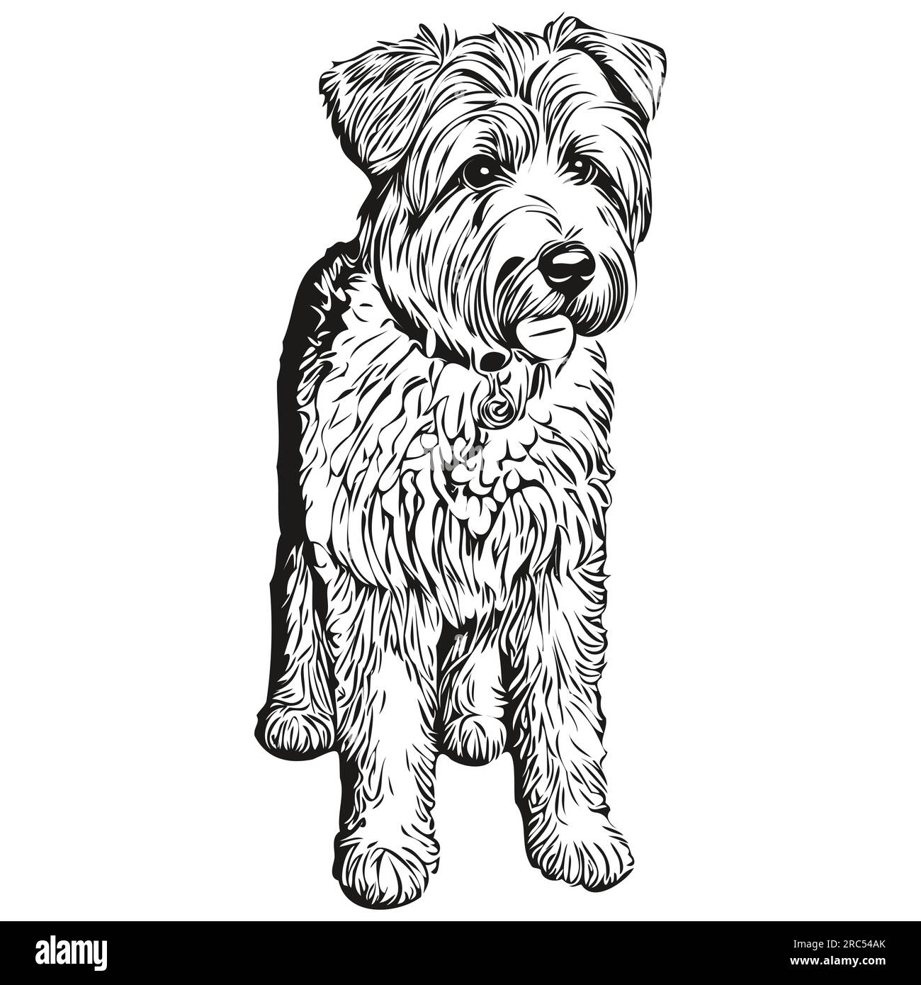 wheaten-terrier-line-drawing-hi-res-stock-photography-and-images-alamy