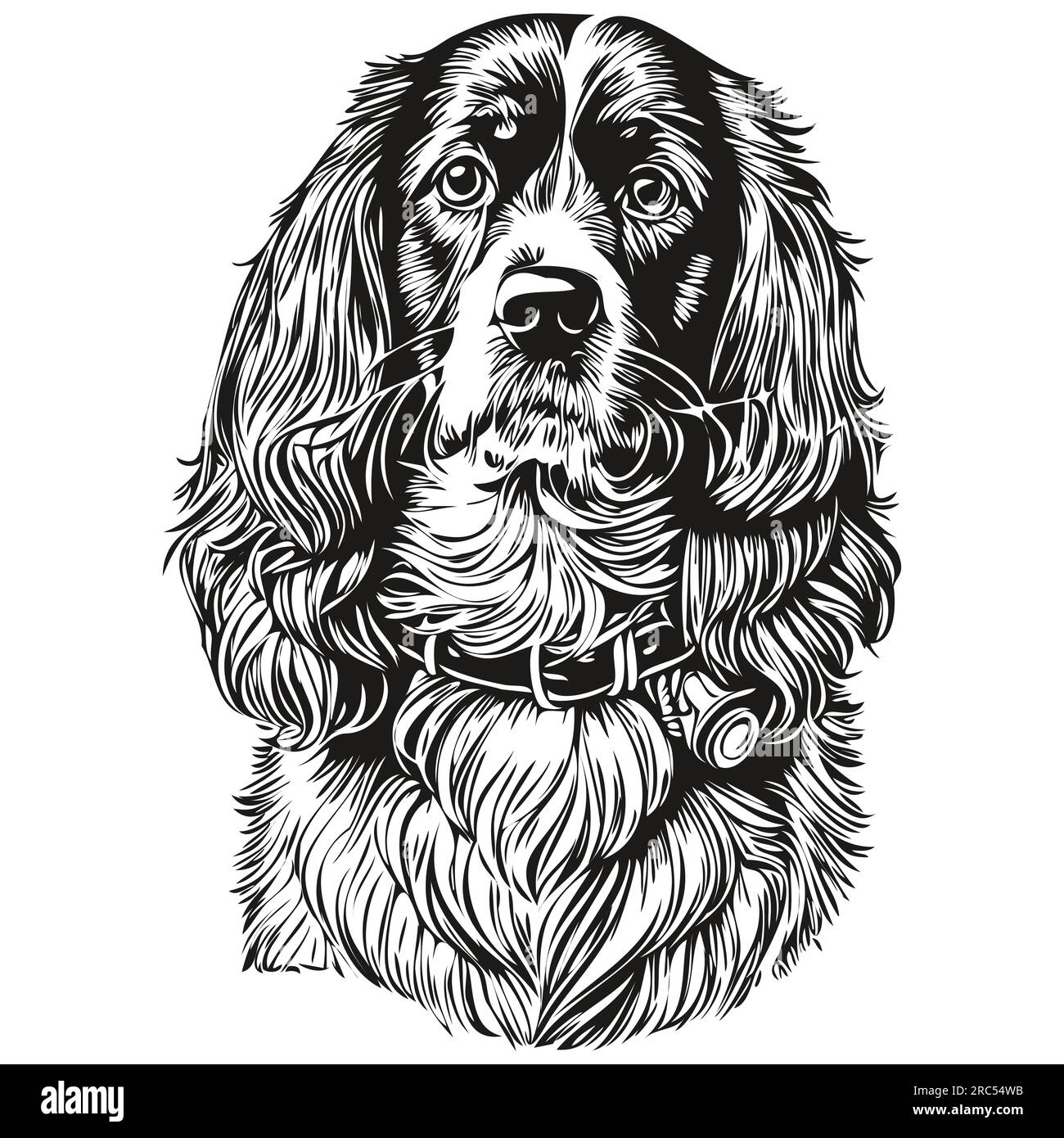 Spaniel Boykin dog head line drawing vector,hand drawn illustration ...