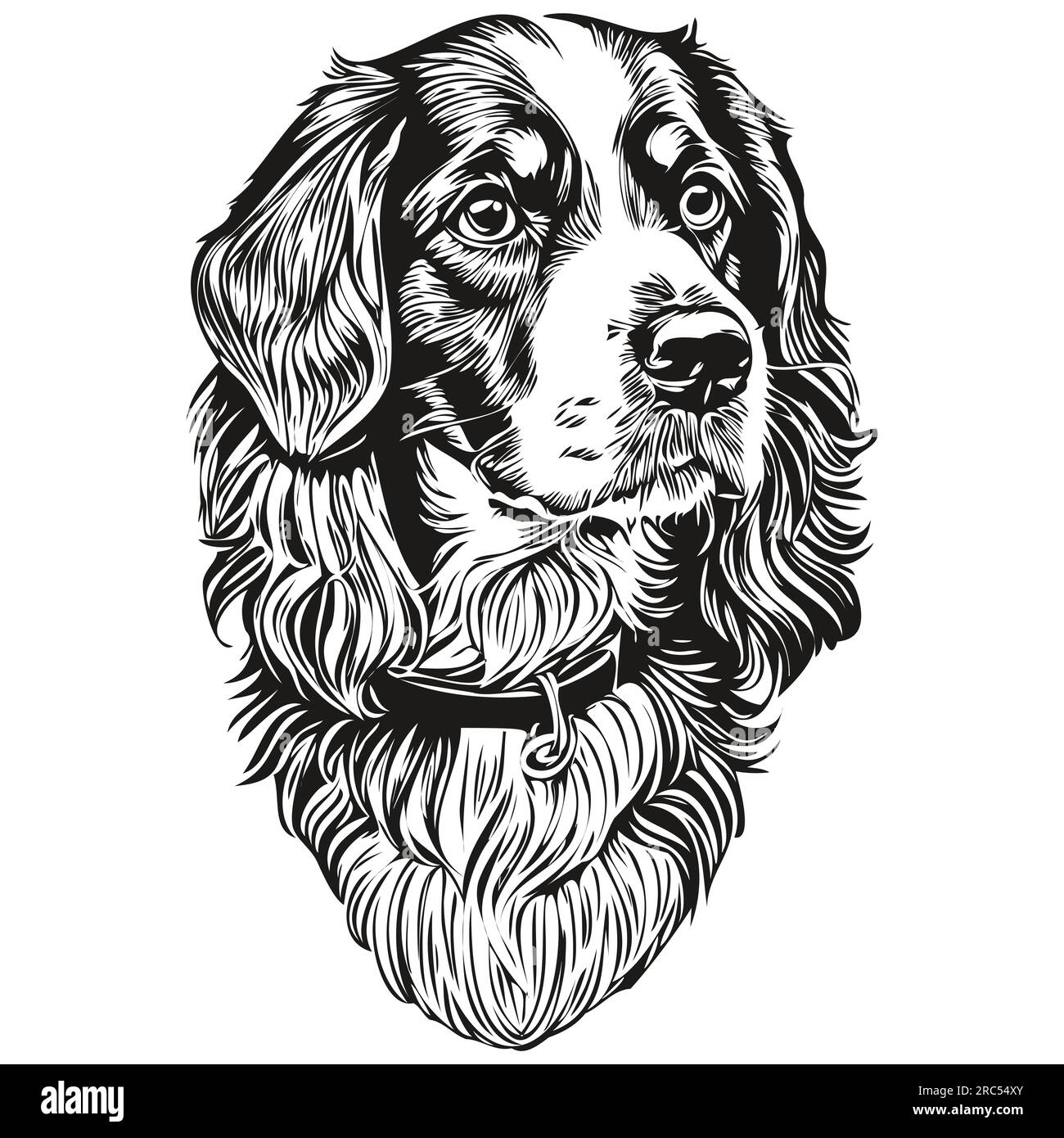 Spaniel Boykin dog head line drawing vector,hand drawn illustration