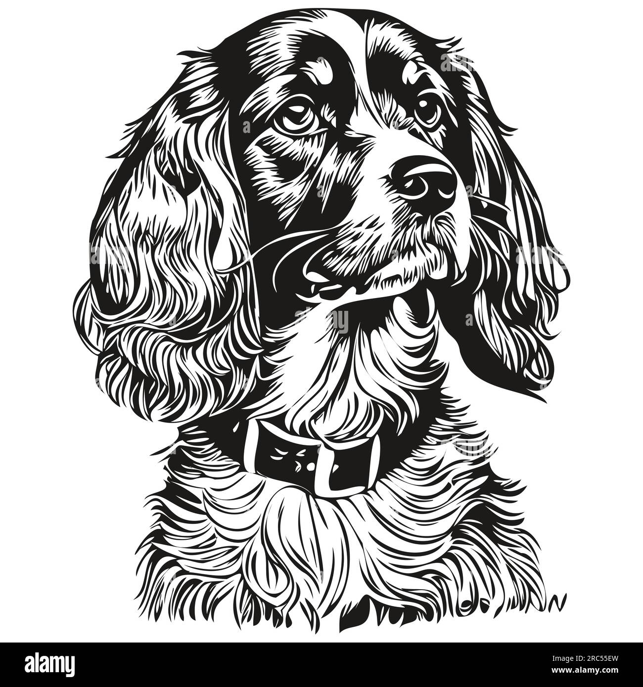 Spaniel Boykin dog hand drawn logo drawing black and white line art ...