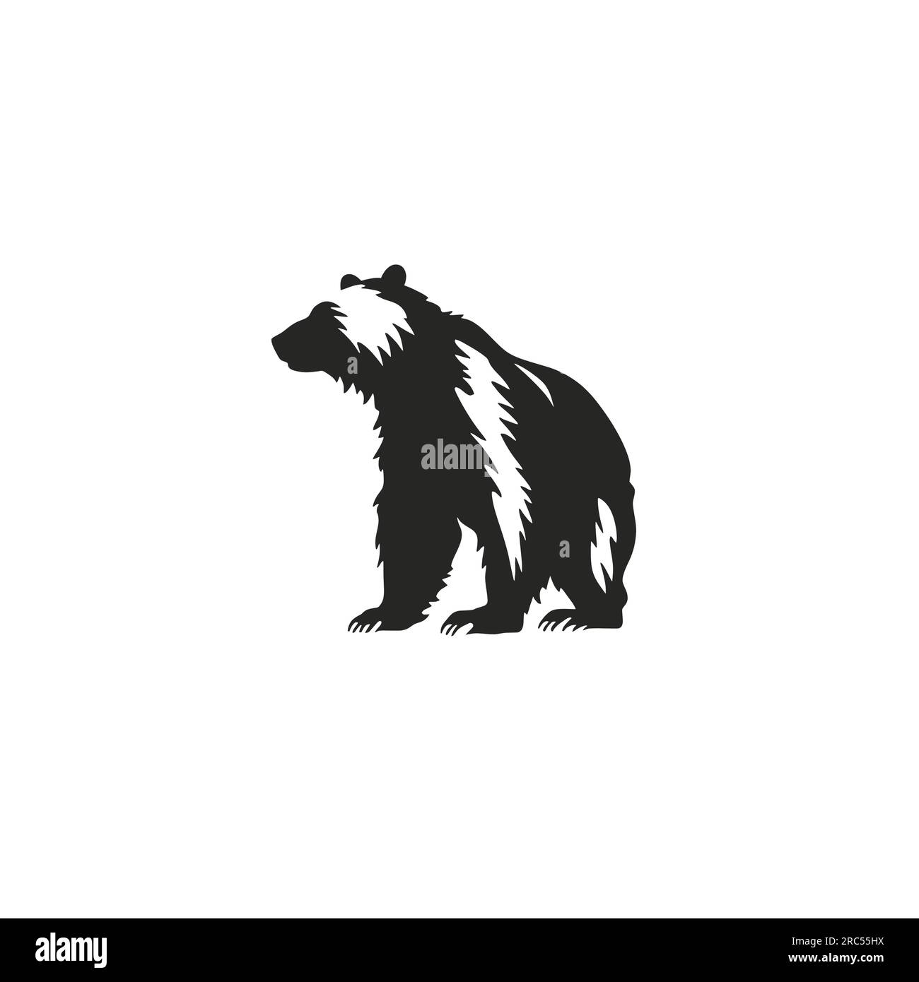 Young black bear standing Stock Vector Images - Alamy