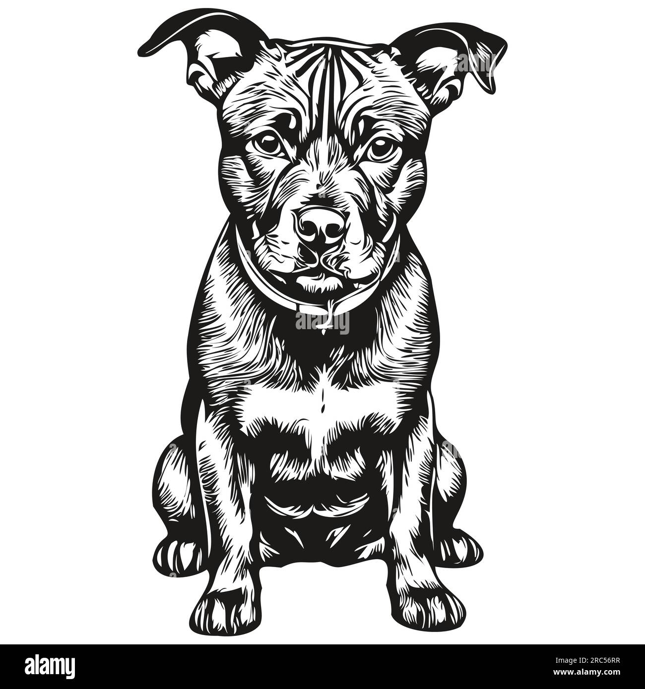Staffordshire bull terrier t cheap shirts