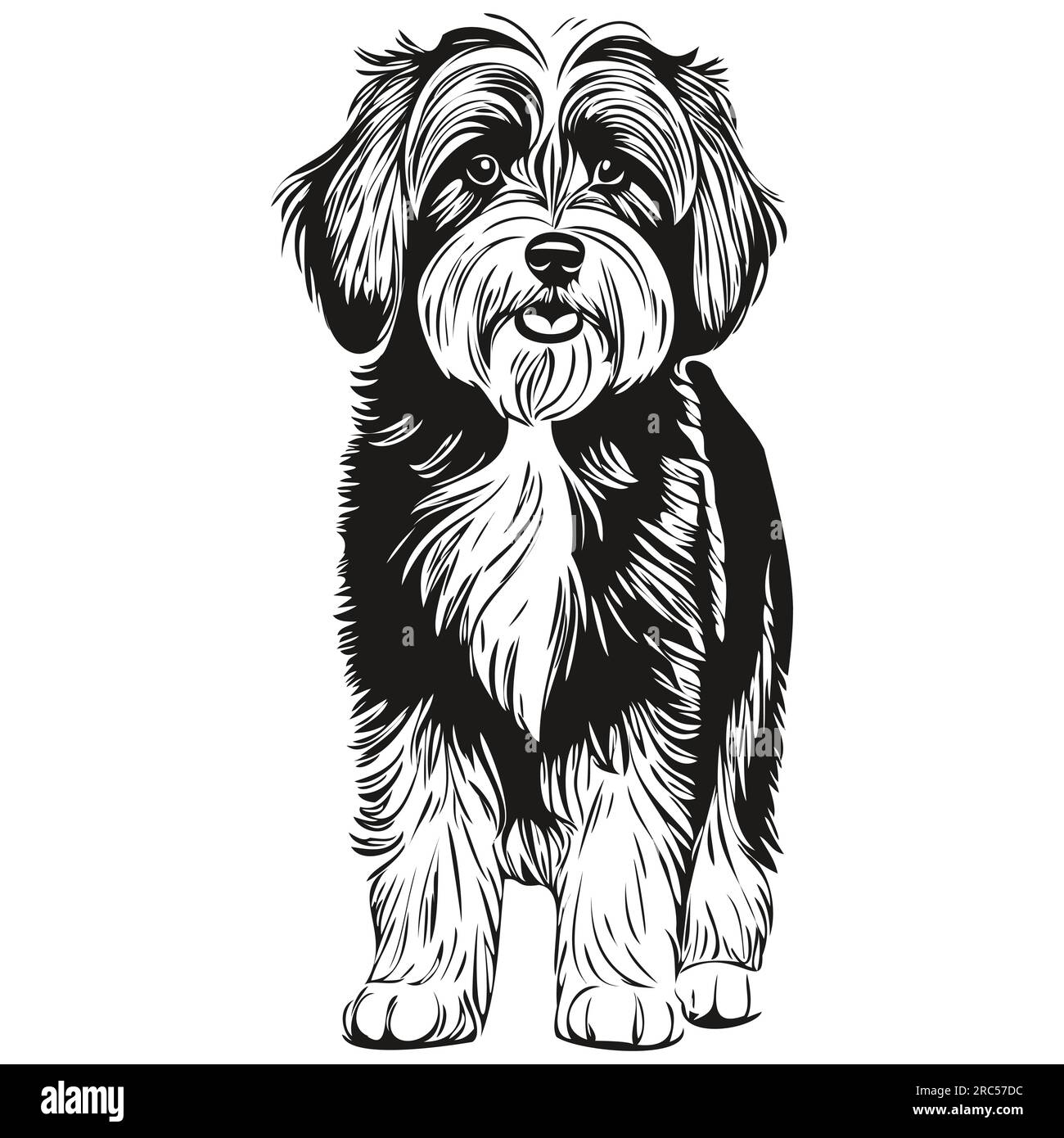 Tibetan Terrier dog cartoon face ink portrait, black and white sketch ...