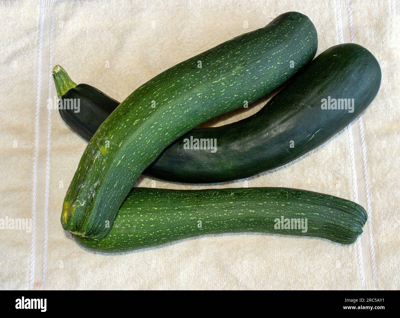 Zucchini is a delicious vegetable that can be prepared and served in a variety of ways. Three large ones have been harvested and the green vegetables Stock Photo