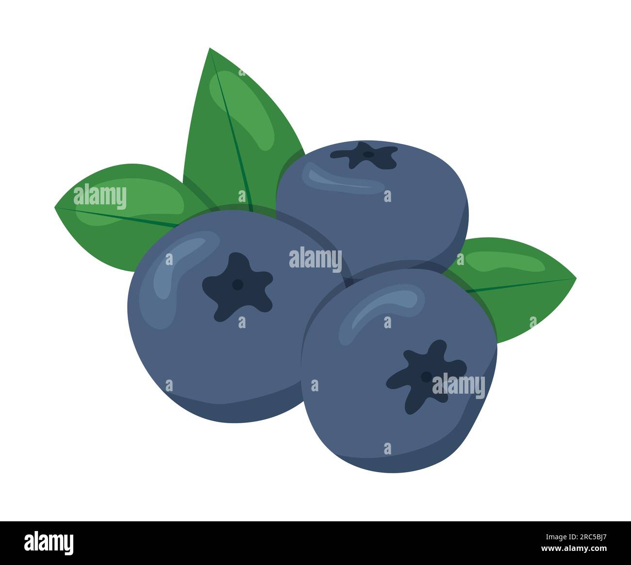 blueberry fruits icon - vector illustration Stock Vector