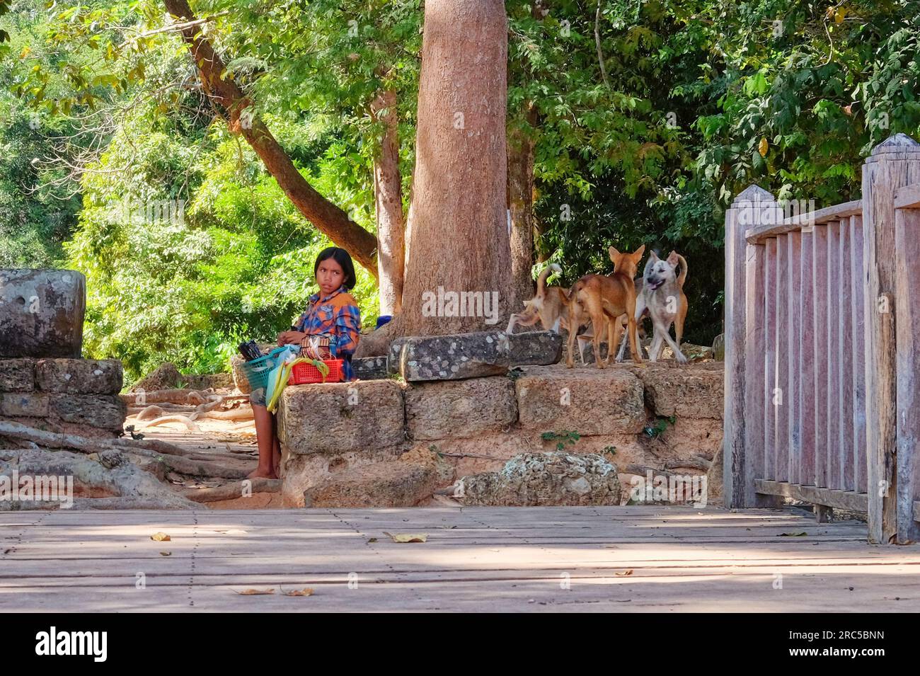 Siem Reap, Cambodia, December 19, 2018. Photograph depicting a young Khmer girl seated on old stone blocks, engaged in selling souvenirs. Stock Photo