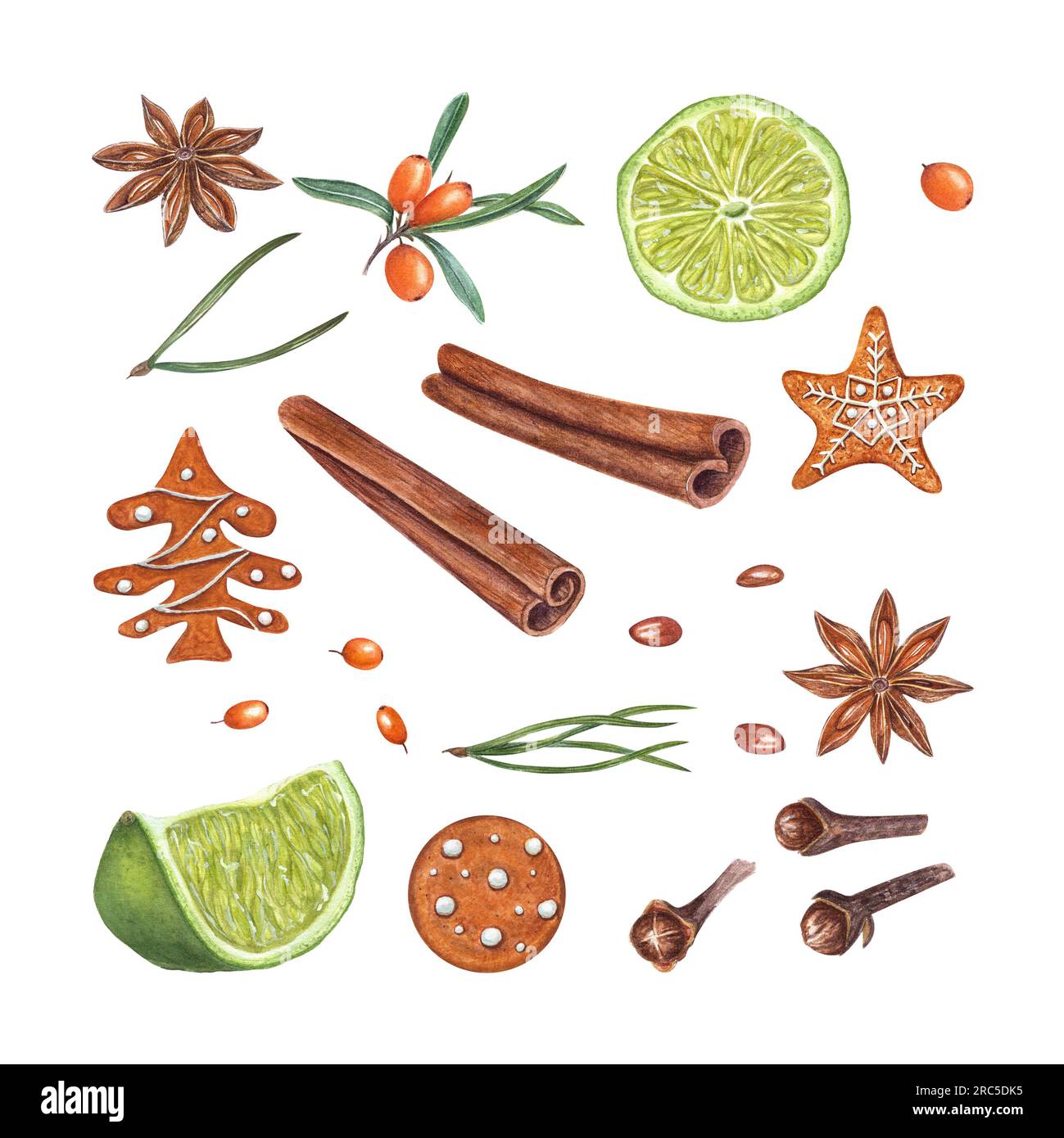 Watercolor set of cinnamons, star anise, lime slices, sea buckthorn berry, gingerbread cookie, spruce, cloves isolated on white background. Stock Photo
