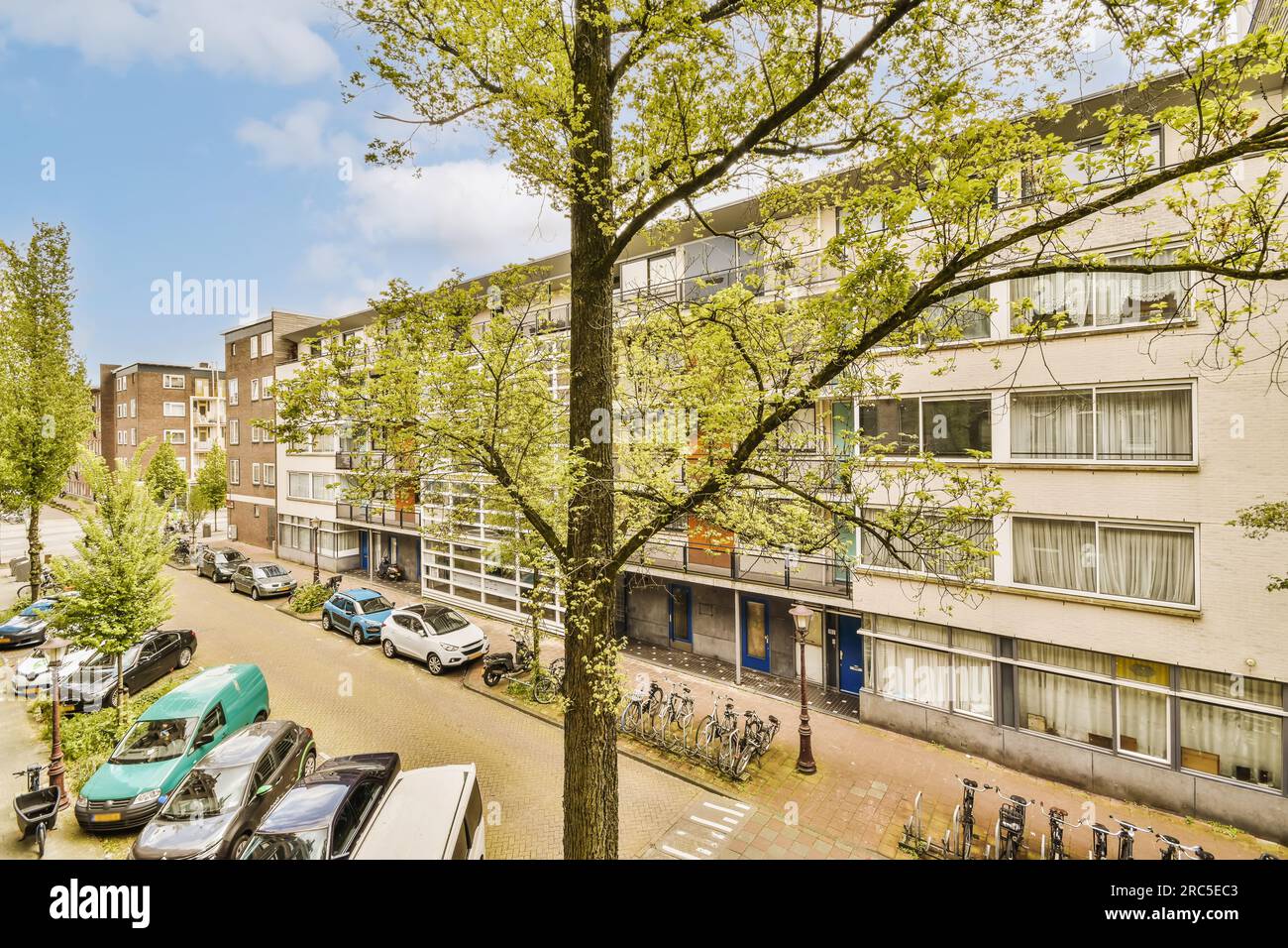 some cars parked on the side of a street in an urban area with trees ...