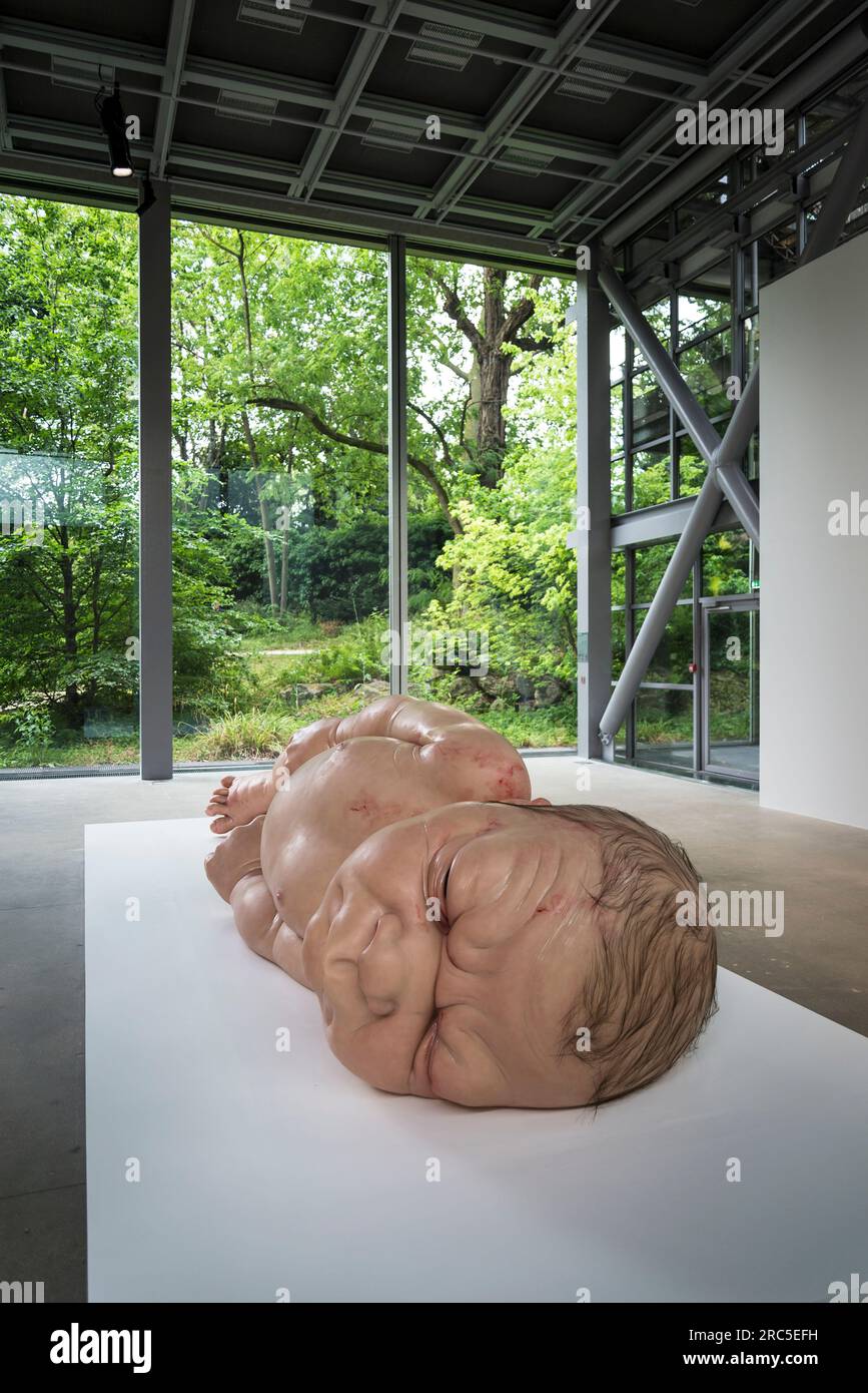 A Girl (2006), sculpture of a gigantic newborn by, Ron Mueck, Fondation Cartier, a contemporary art museum,  located in a glass building designed by P Stock Photo