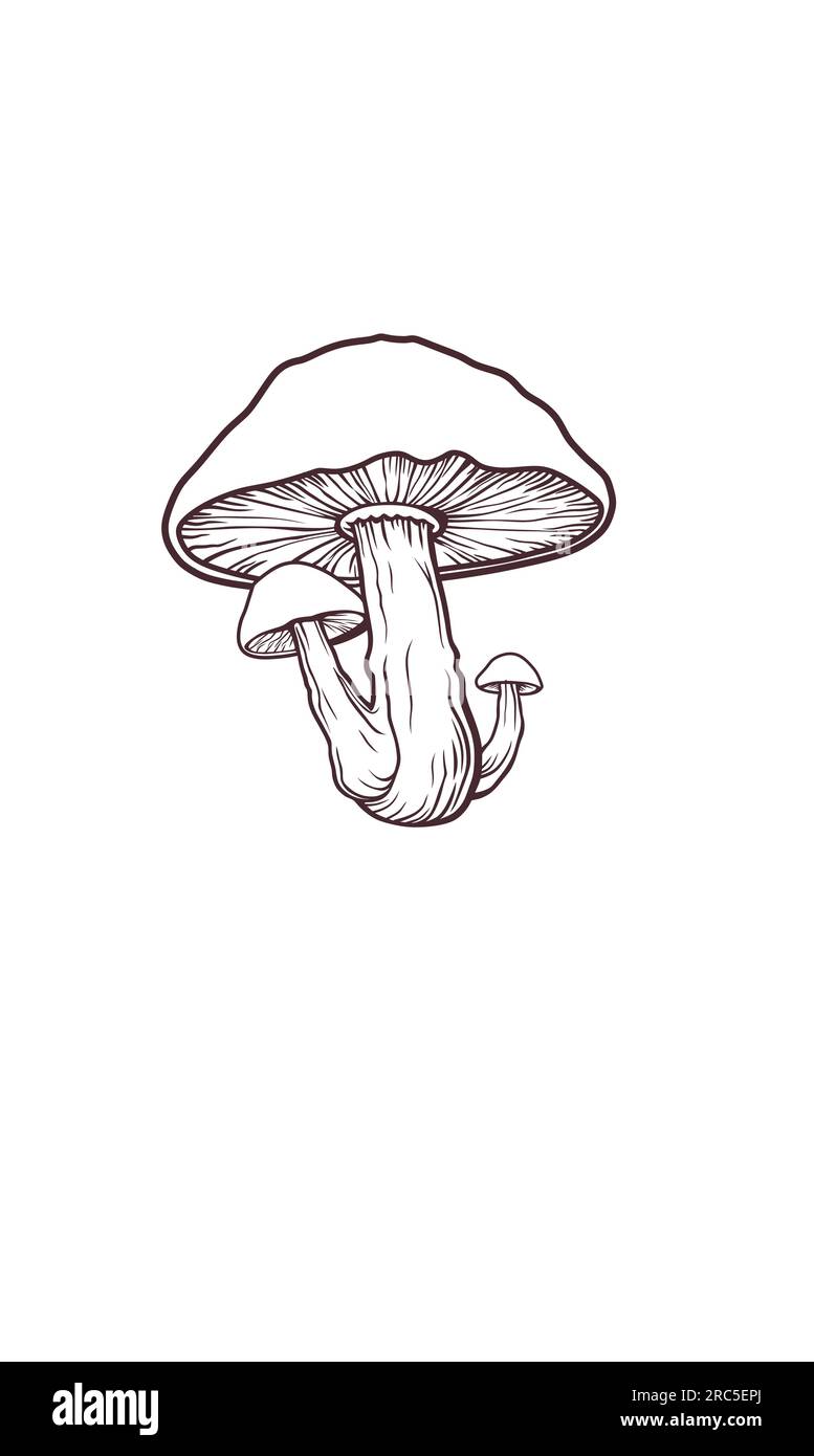 Mushroom vector illustration on white background Stock Vector