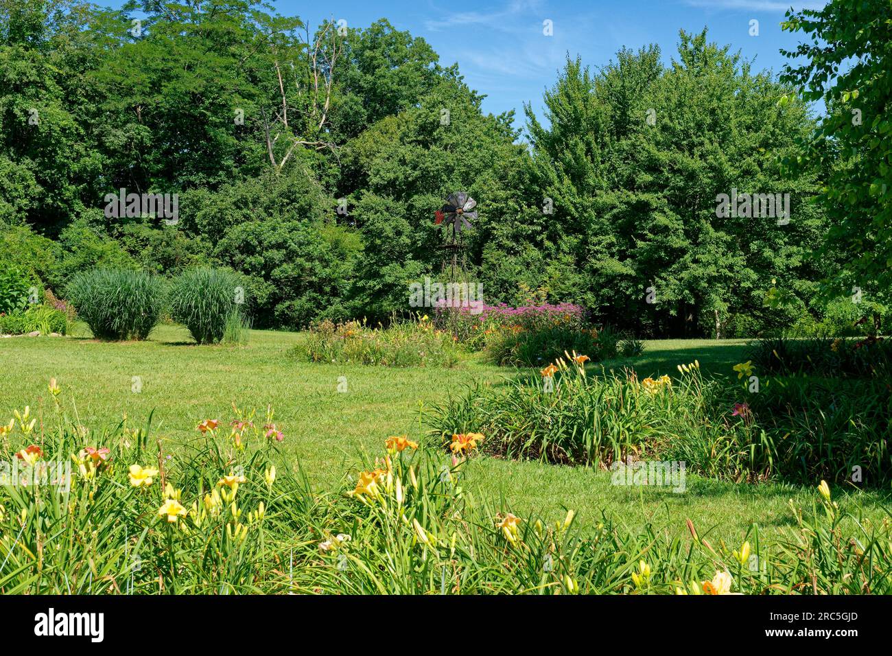 A full blooming of b hi-res stock photography and images - Alamy