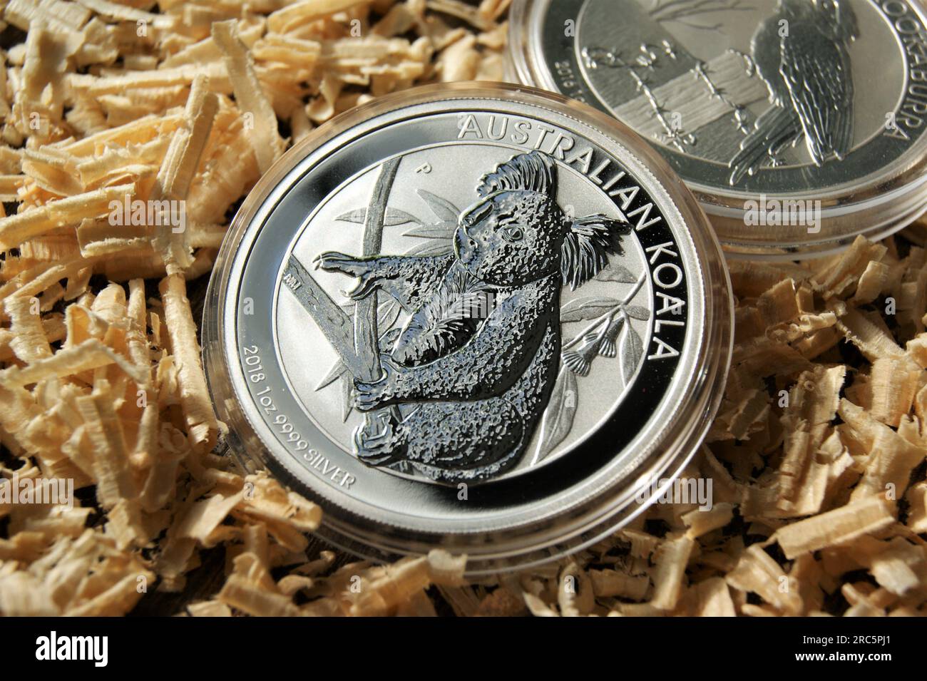 Coins collection numismatics. 1Dollar Australian koala. Pure silver investment coin in capsule. Stock Photo