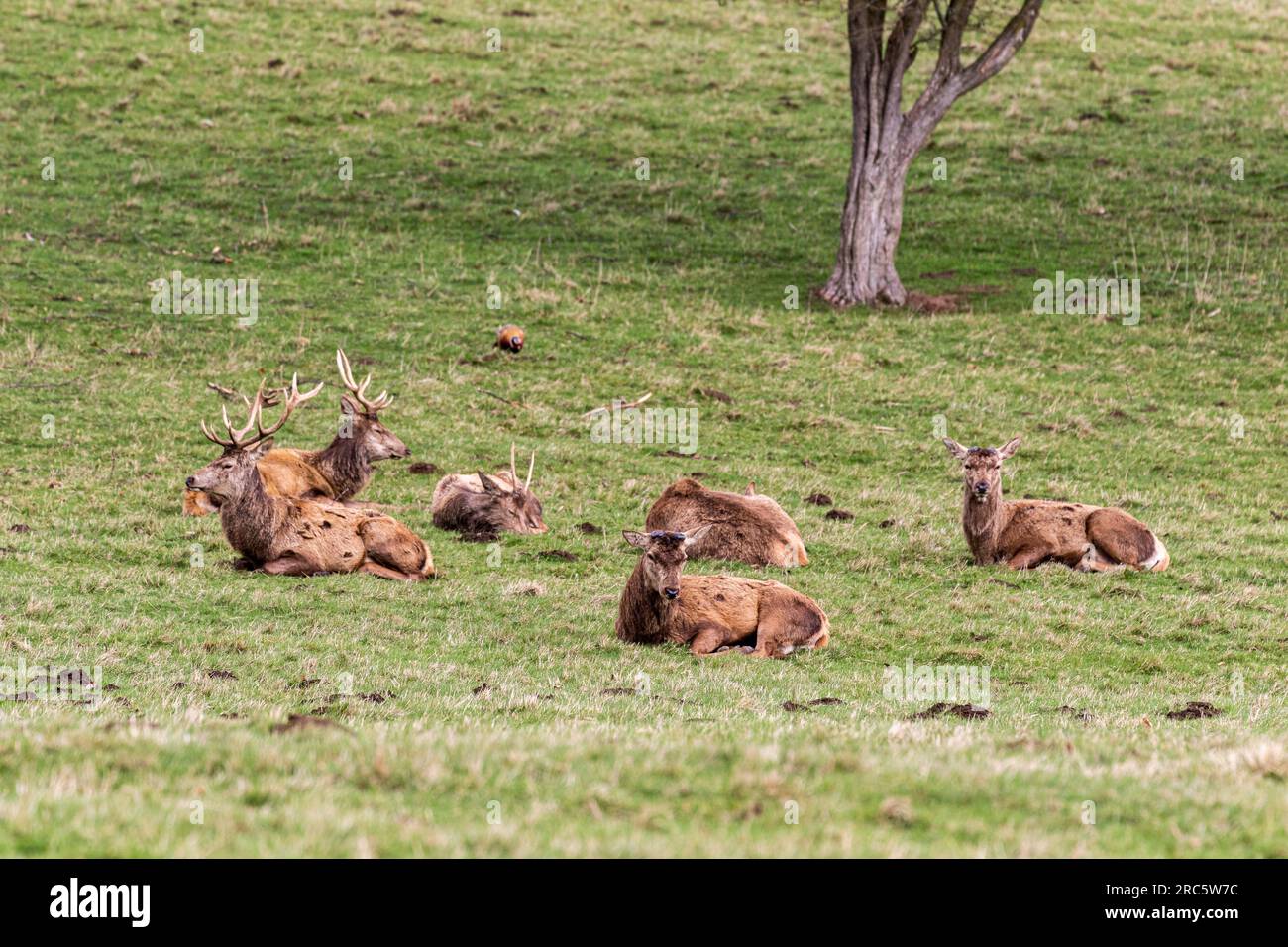 Beautiful view footage taken of Flora and Fauna during my trip Stock ...