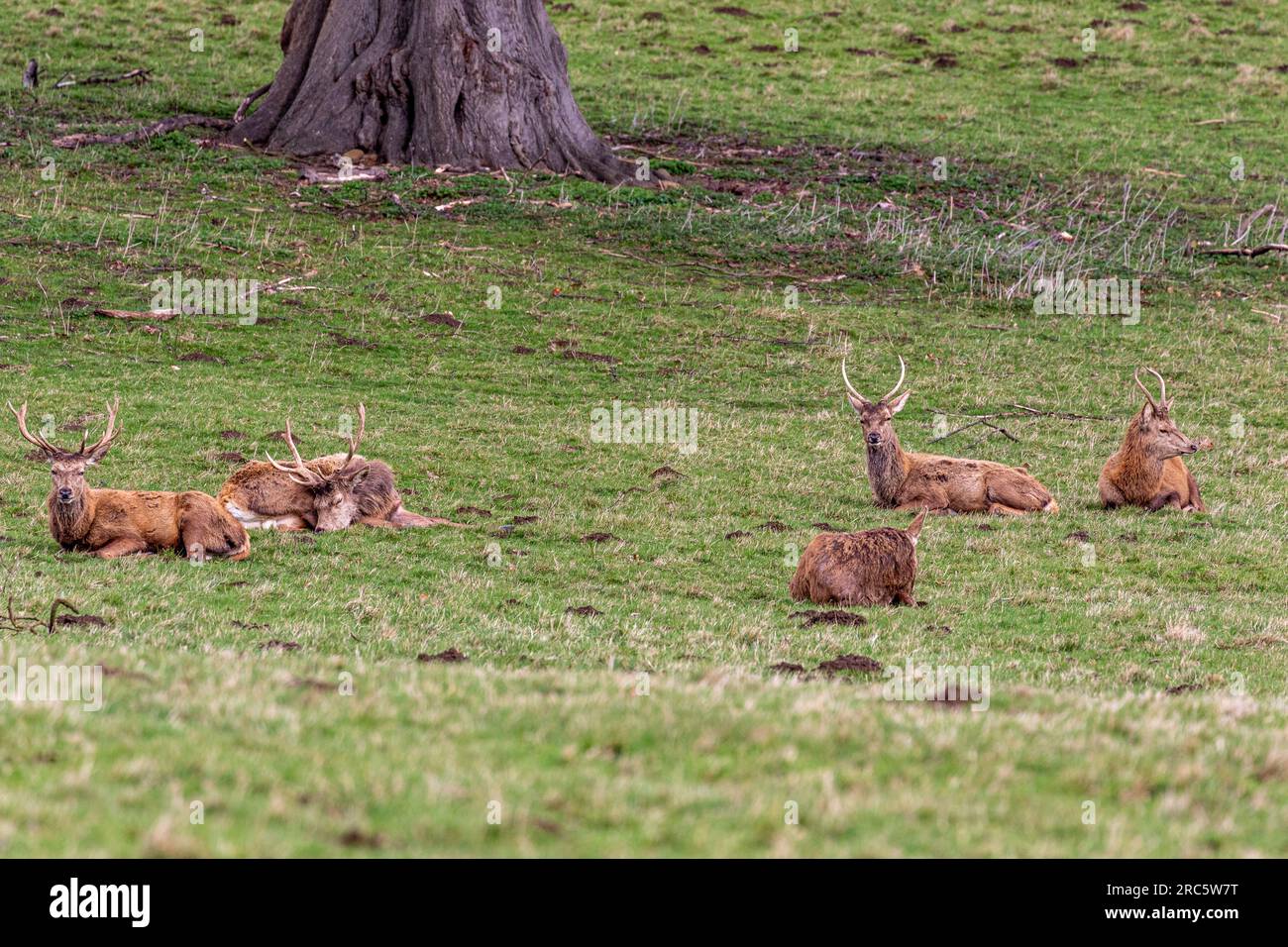 Beautiful view footage taken of Flora and Fauna during my trip Stock ...
