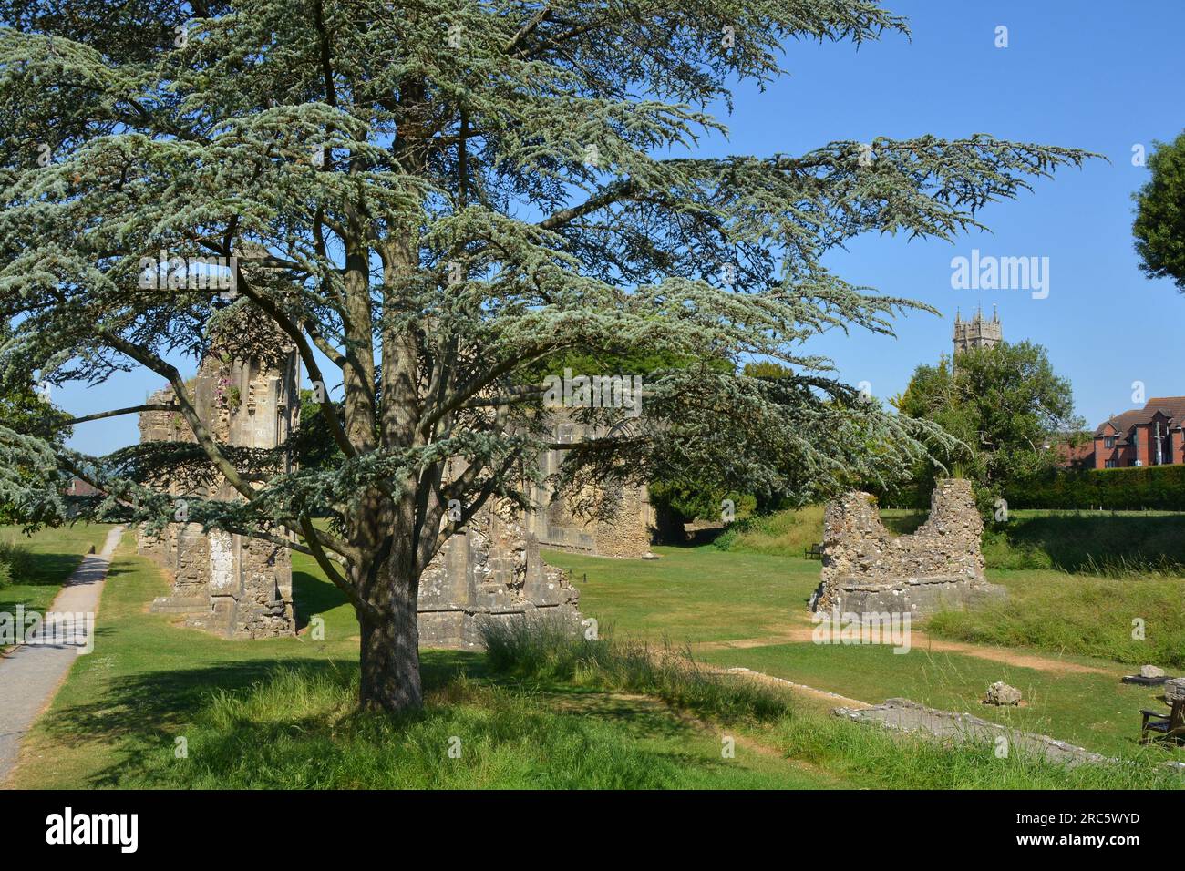 Glastonbury Abbey, Glastonbury, Somerset, England. June 13, 2023. Stock Photo