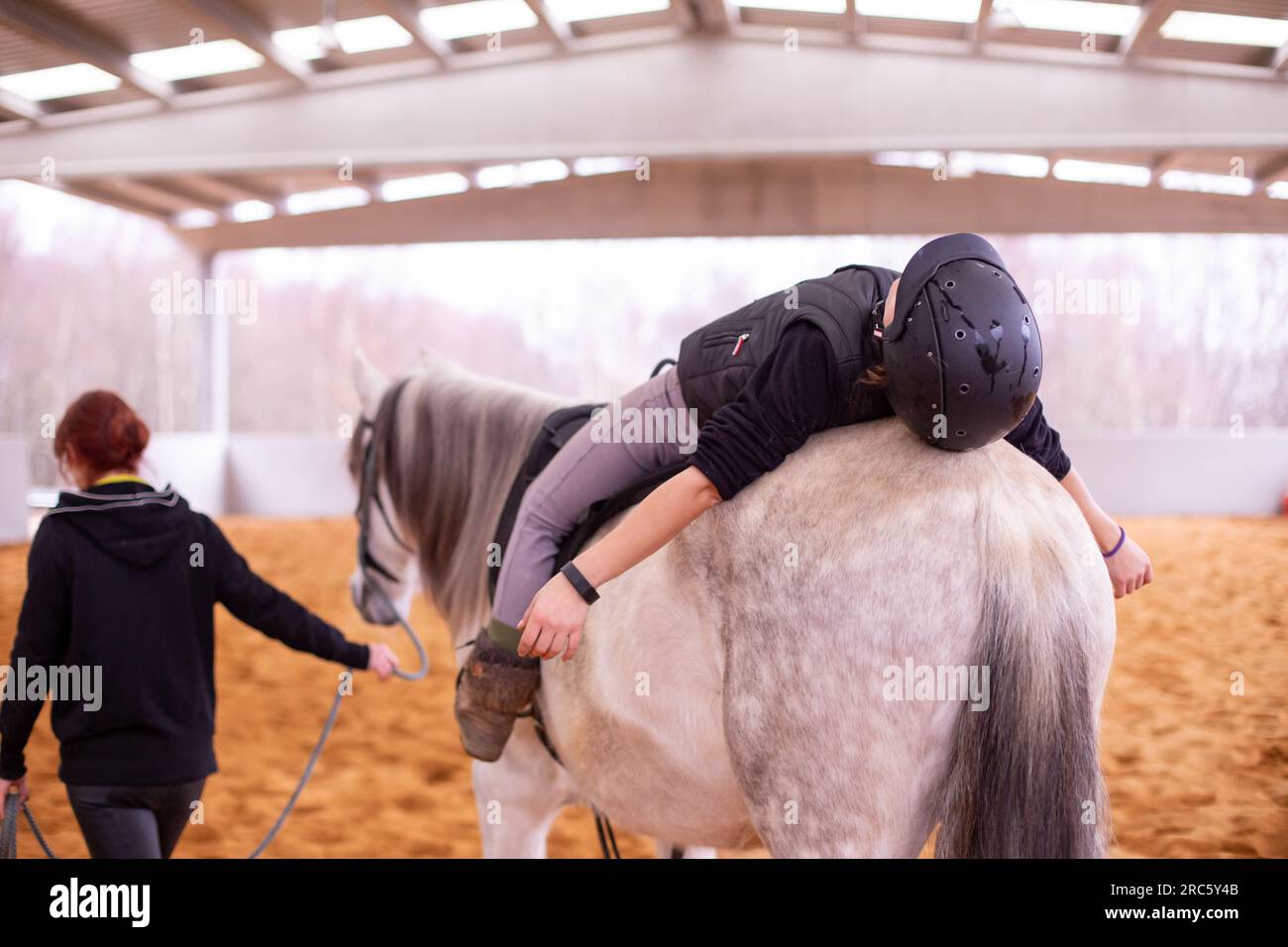 Hippotherapy. Therapeutic wellness, occupational therapy midadult