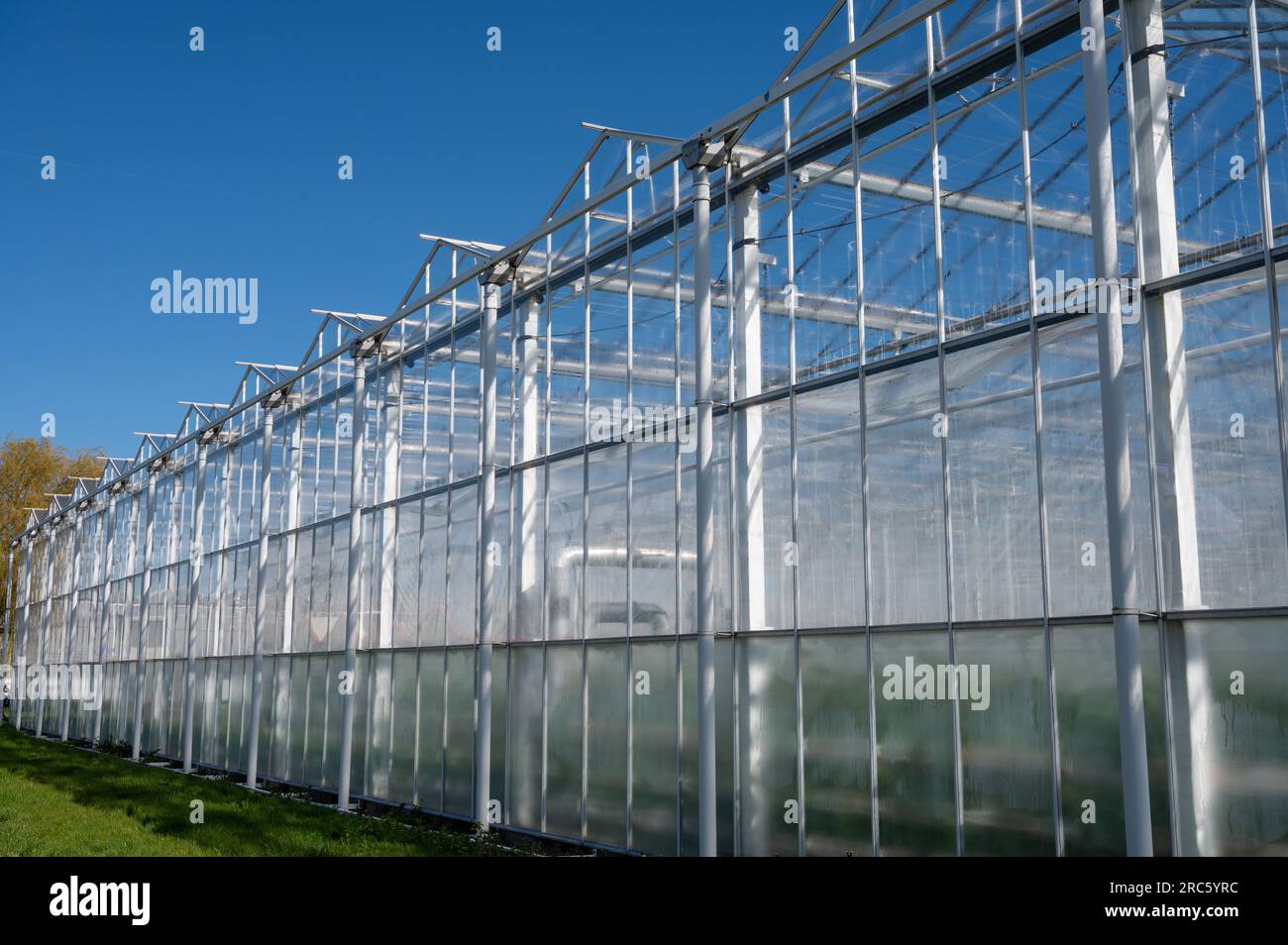 All seasons fresh vegetables, fruits and flowers, agriculture in