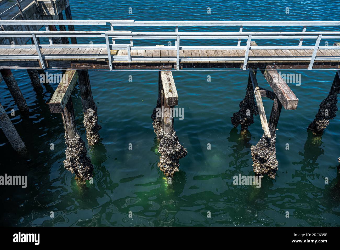 Pier Overgrown and Covered with Barnacles Stock Photo - Alamy