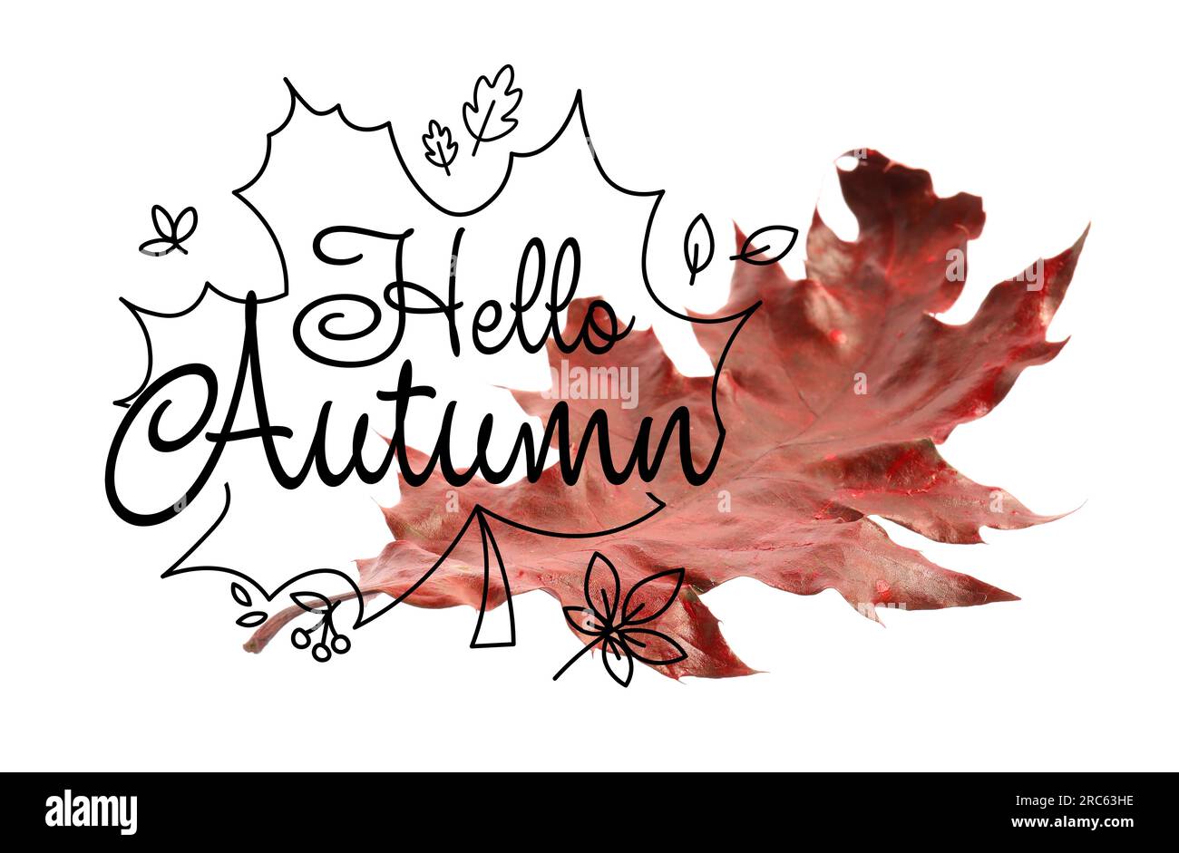 Hello october text autumn Cut Out Stock Images Pictures Alamy