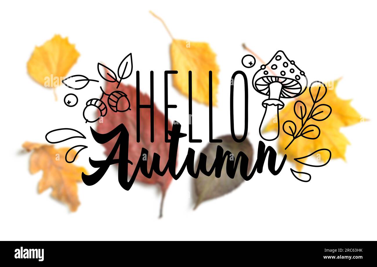 Banner with text HELLO AUTUMN and fallen leaves Stock Photo