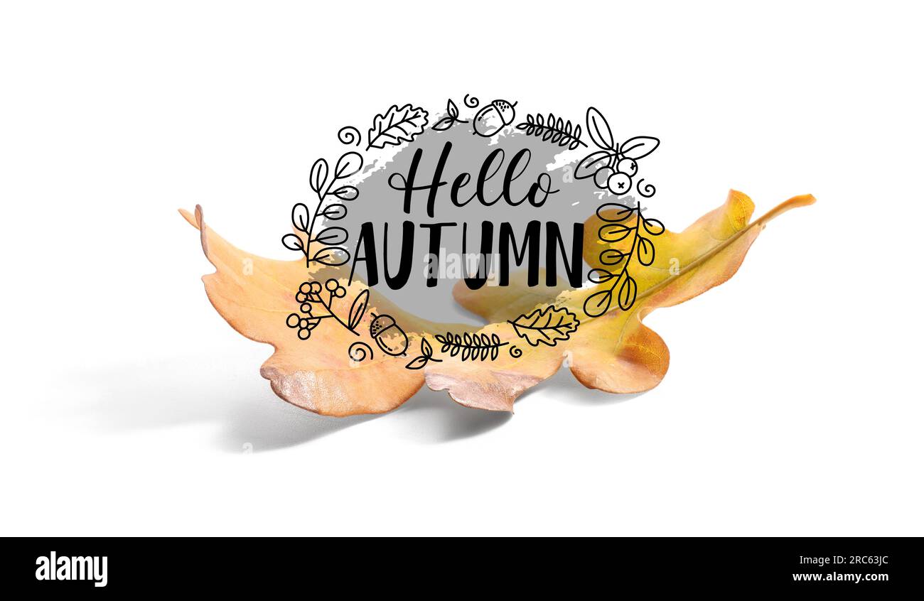 Banner with text HELLO AUTUMN and fallen leaf Stock Photo