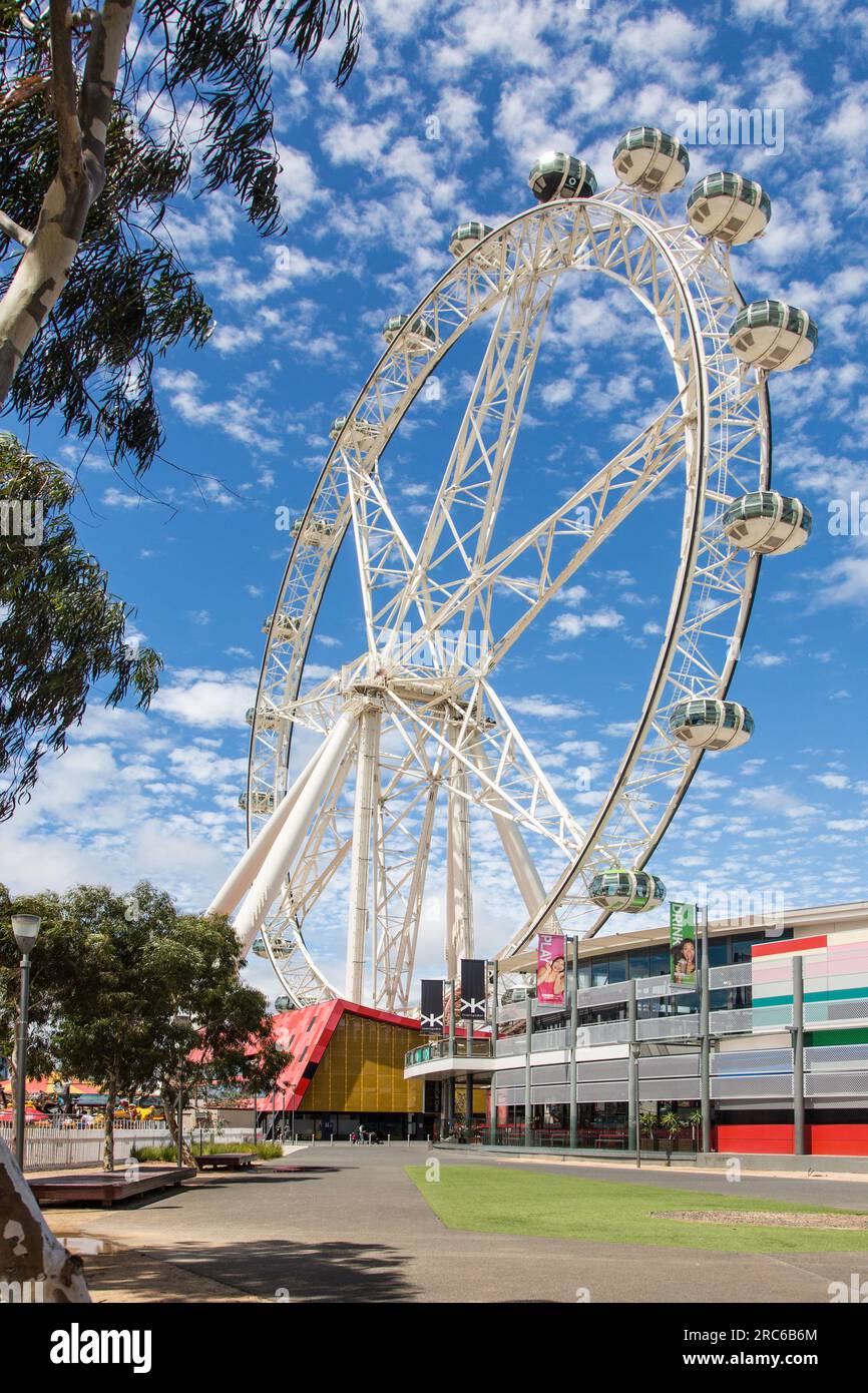 Melbourne Star Observation Wheel at The District Docklands Stock Photo Alamy