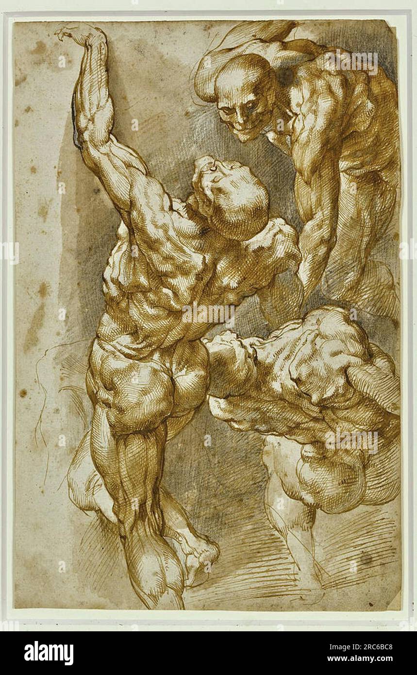 Anatomical Studies of Three Male Figures by Peter Paul Rubens Stock Photo