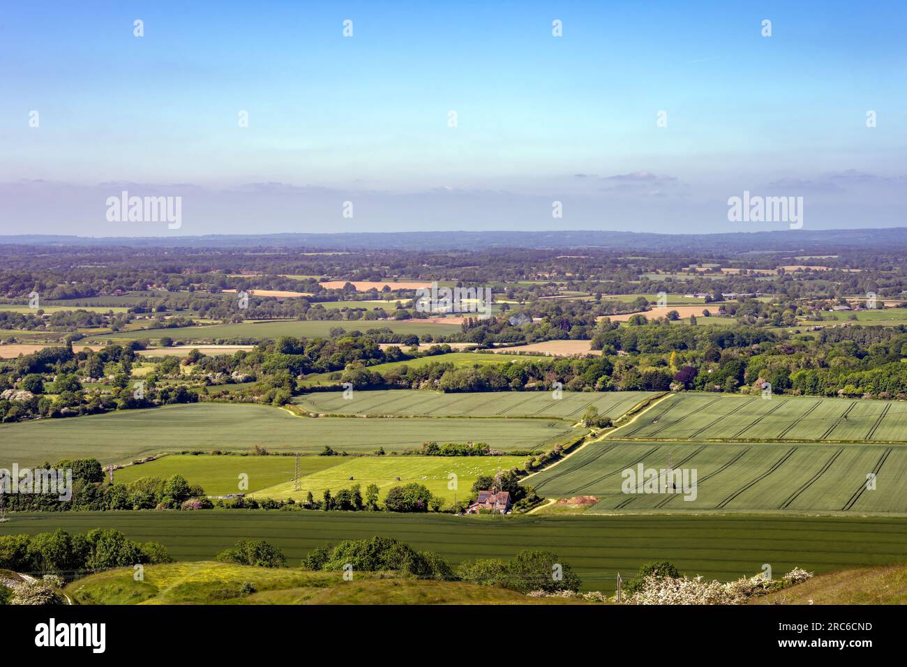 East sussex wildlife hi-res stock photography and images - Alamy
